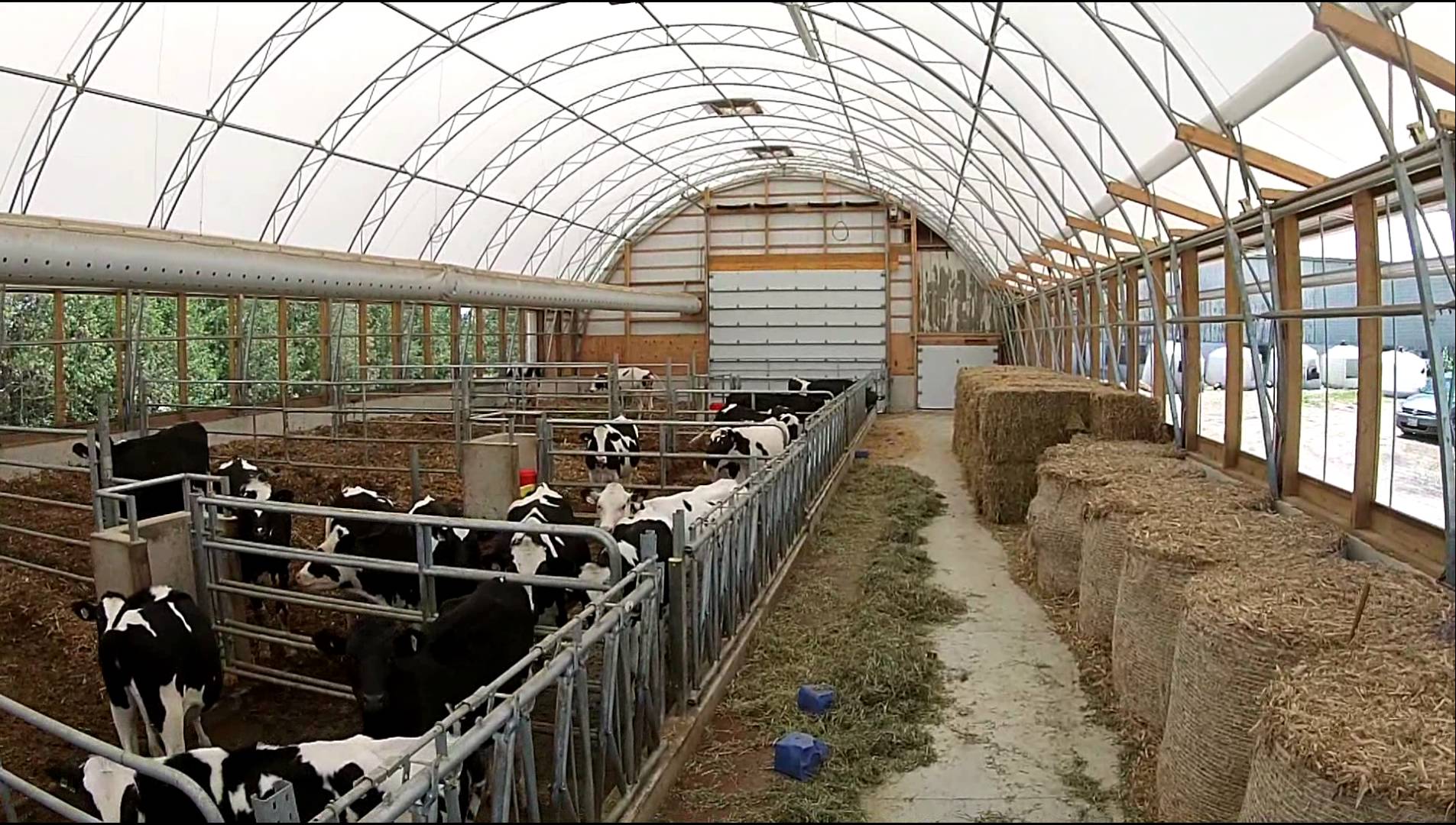Carmen Weppler 52' x 120' Atlas Building Series Dairy Barn - YouTube