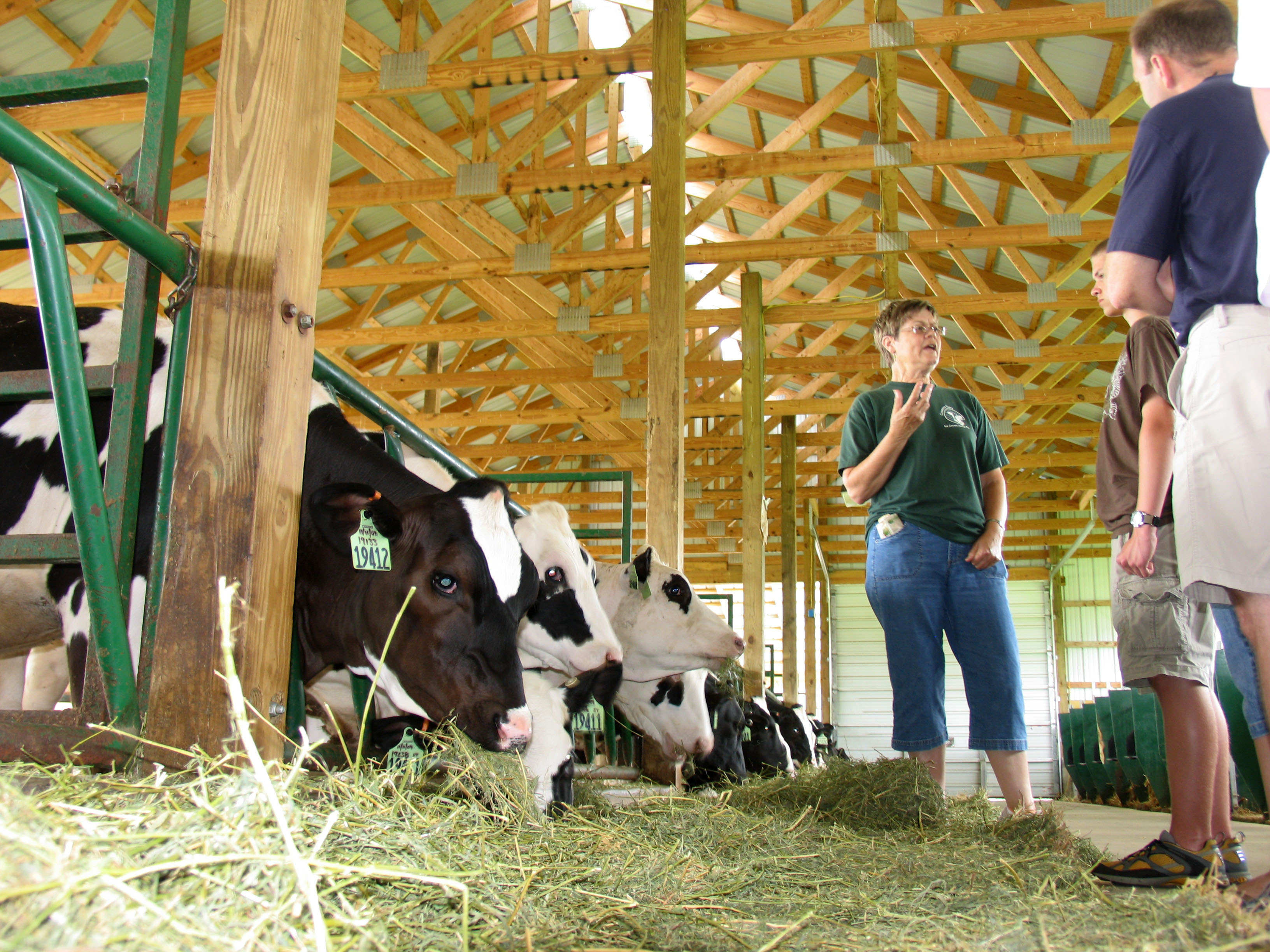Country Dairy Tour Is Udderly Delightful | Great Lakes Gazette