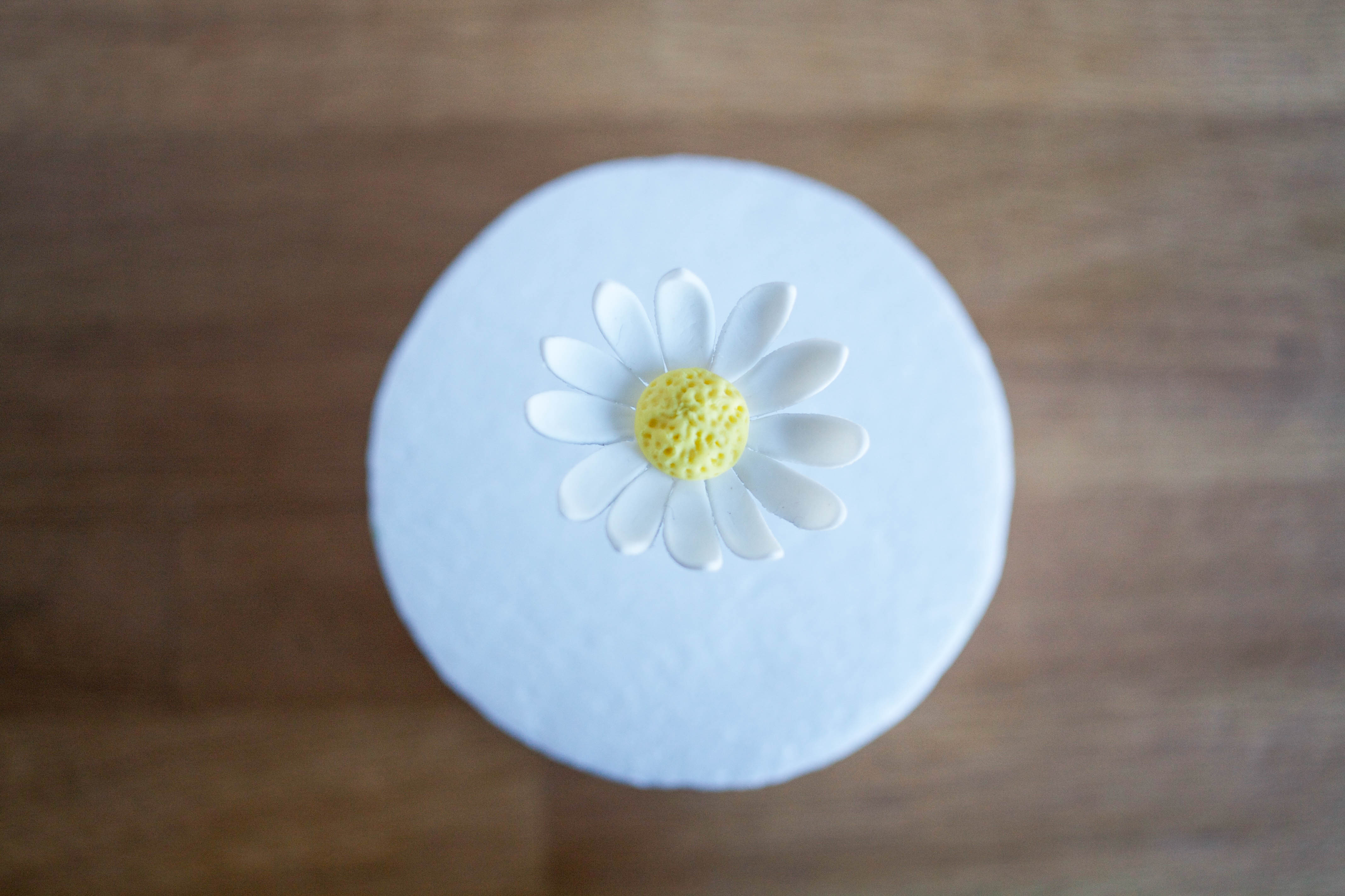 Easy Gum Paste Daisy Flower Tutorial on Craftsy