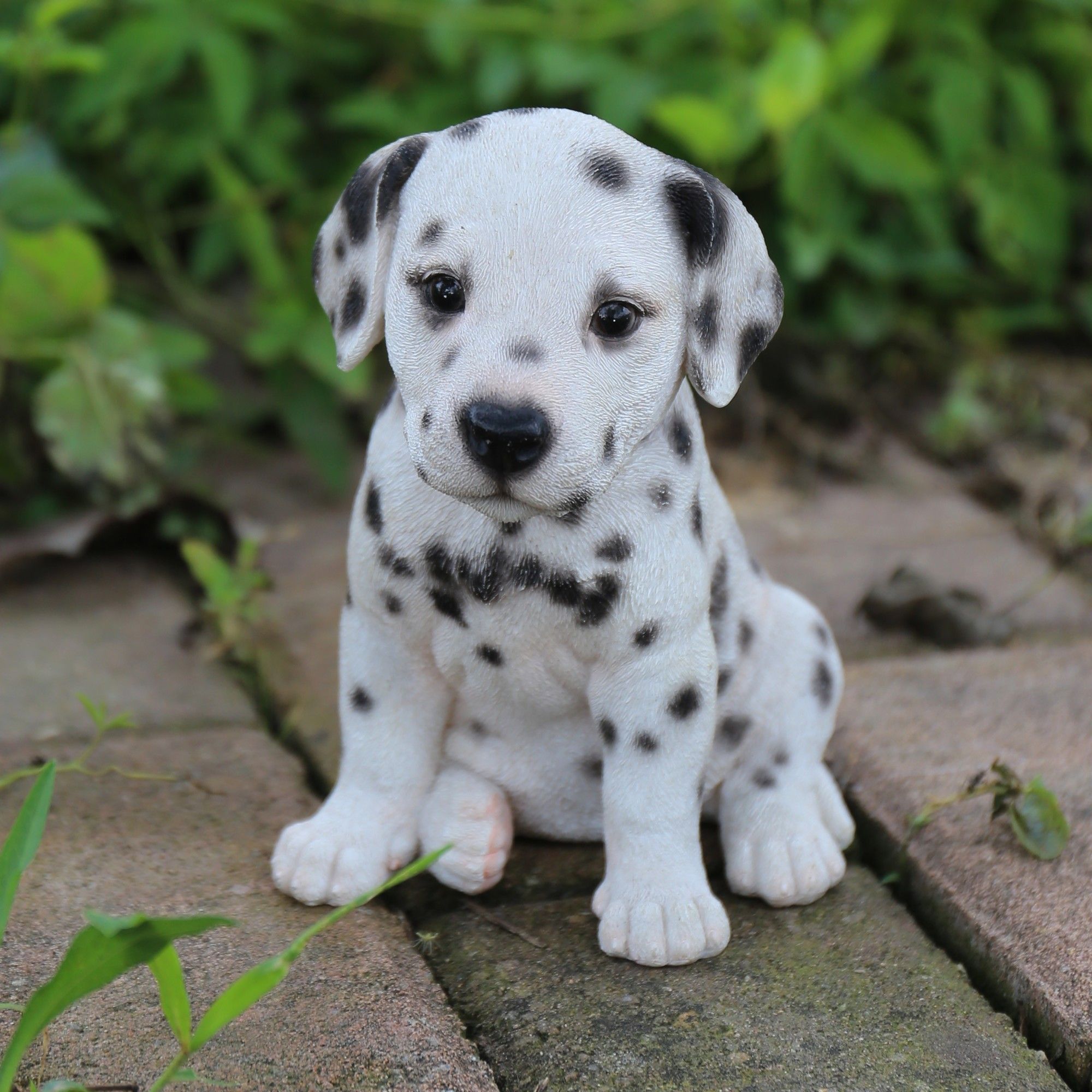 Dalmatian Puppy Statue | Dalmatian, Animal and Dog