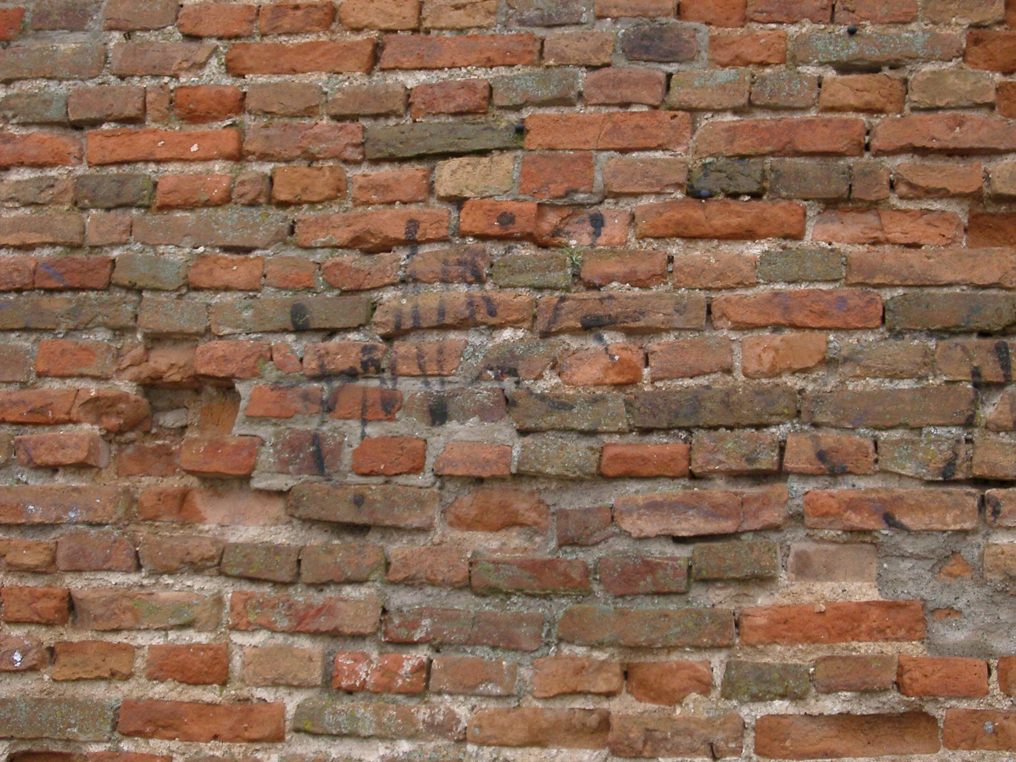 Old Damaged Brick Wall Title Keywords - DMA Homes | #55740