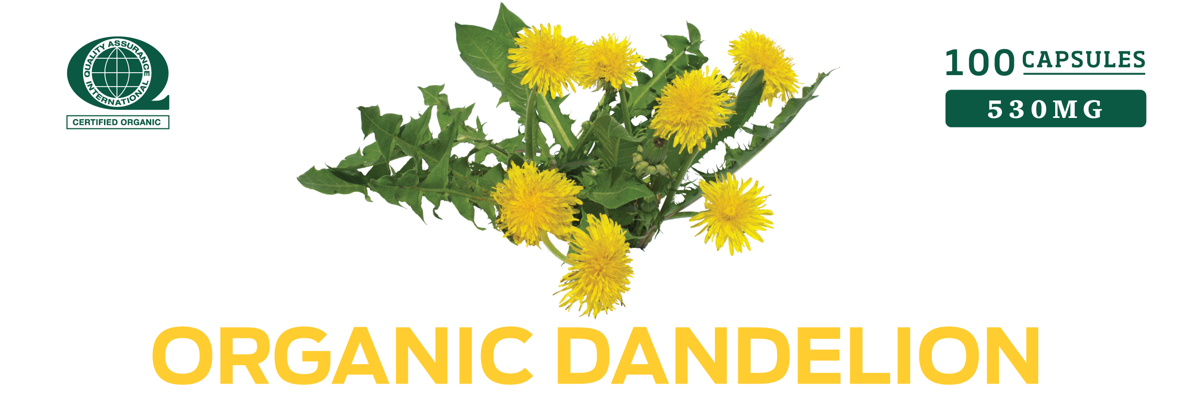 Organic Dandelion Vitamins and Supplements