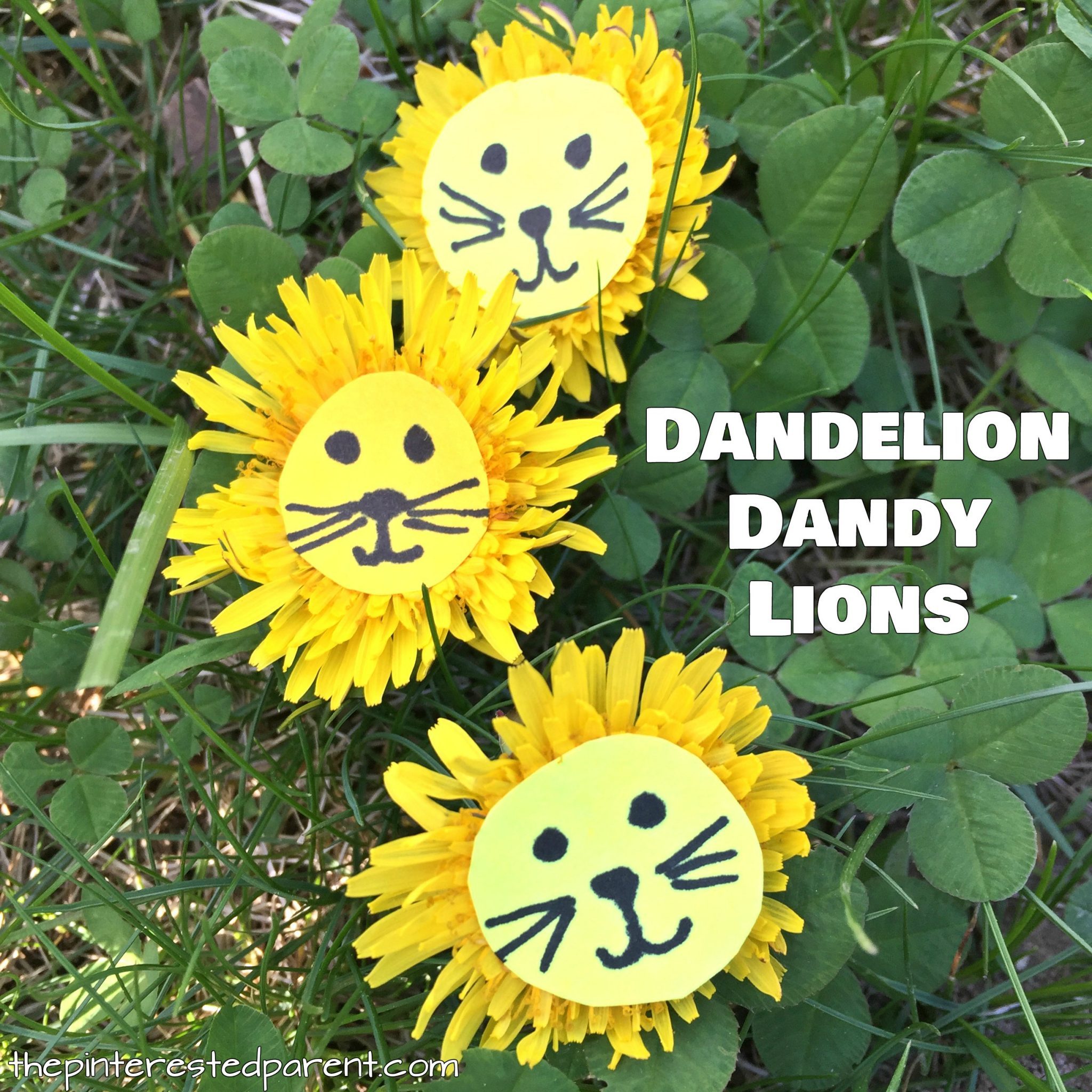 Dandelion Lions Nature Craft – The Pinterested Parent