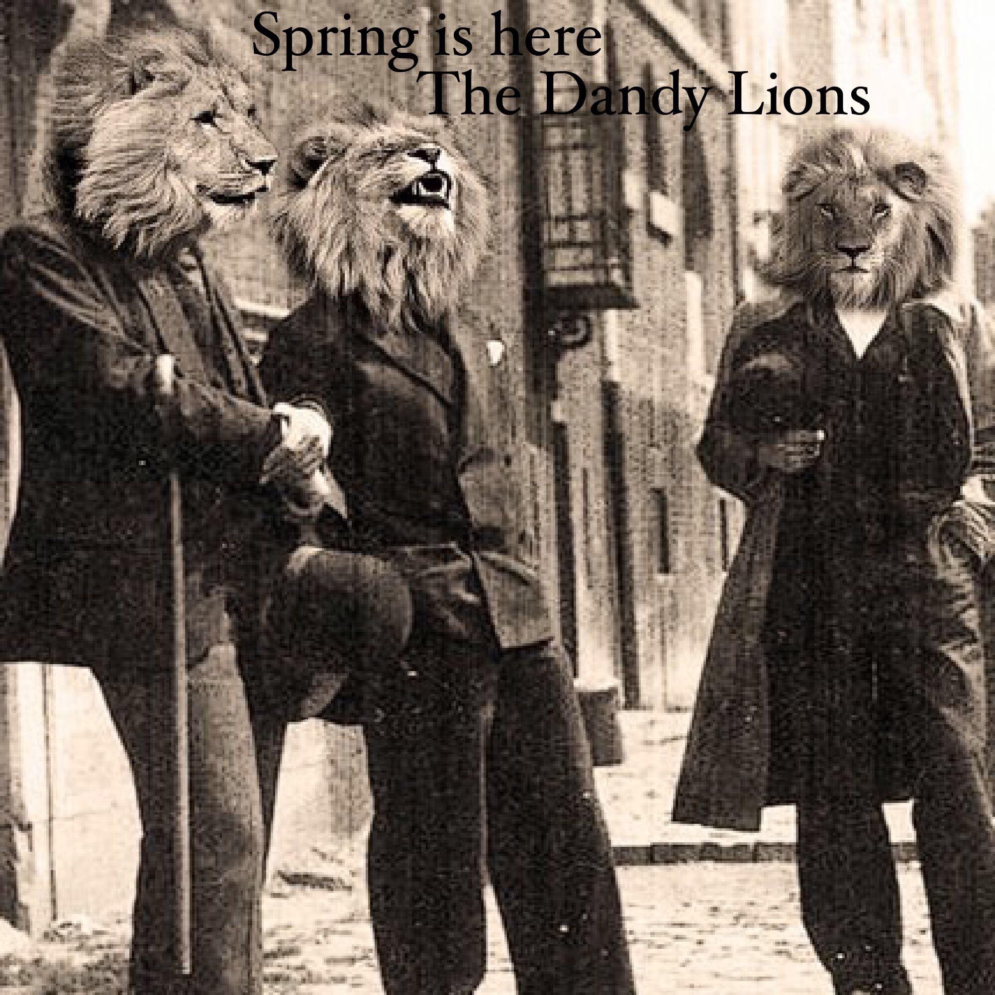 The Dandy Lions - Spring is here : fakealbumcovers