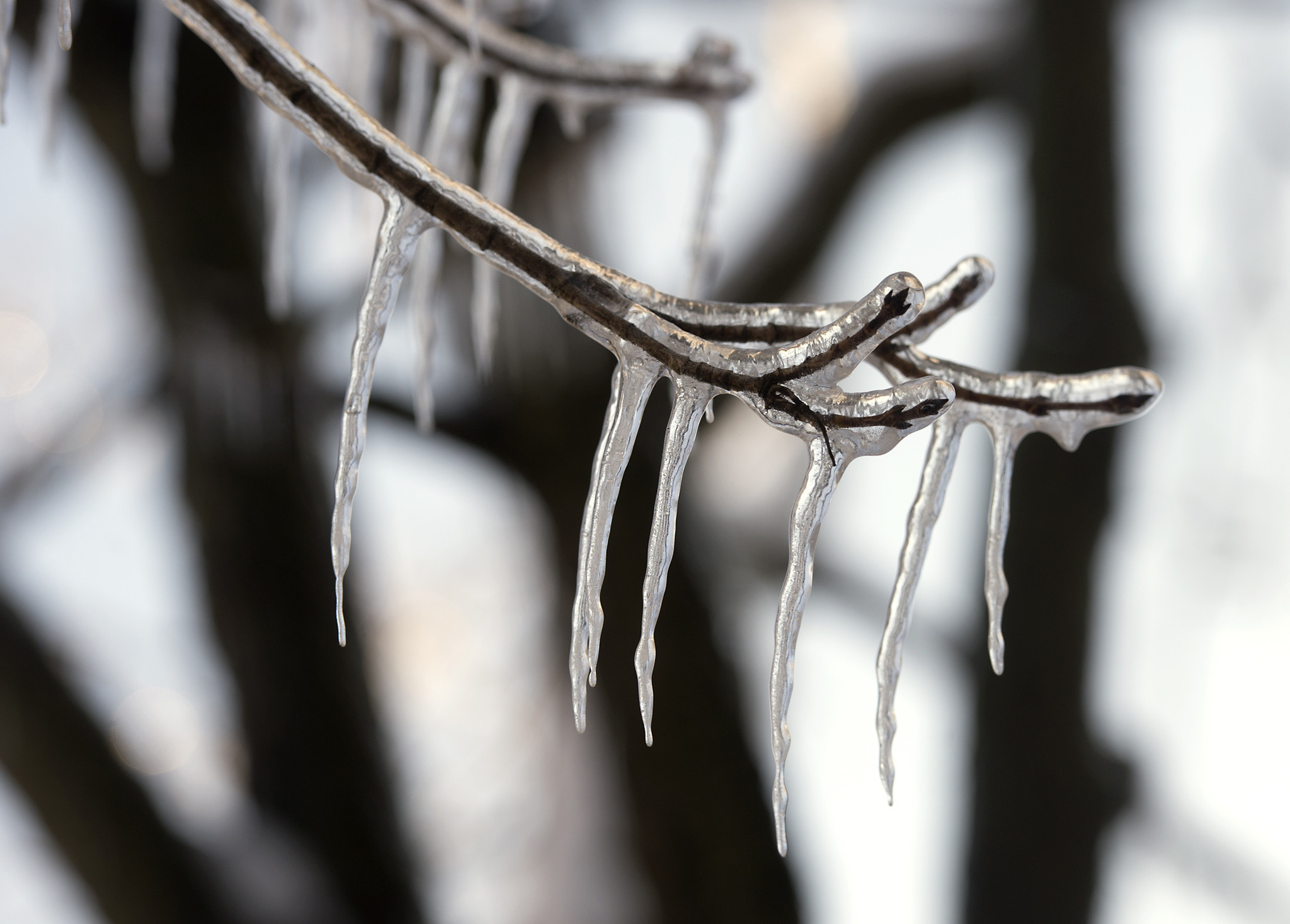 How dangerous are falling icicles? - The Morning Call