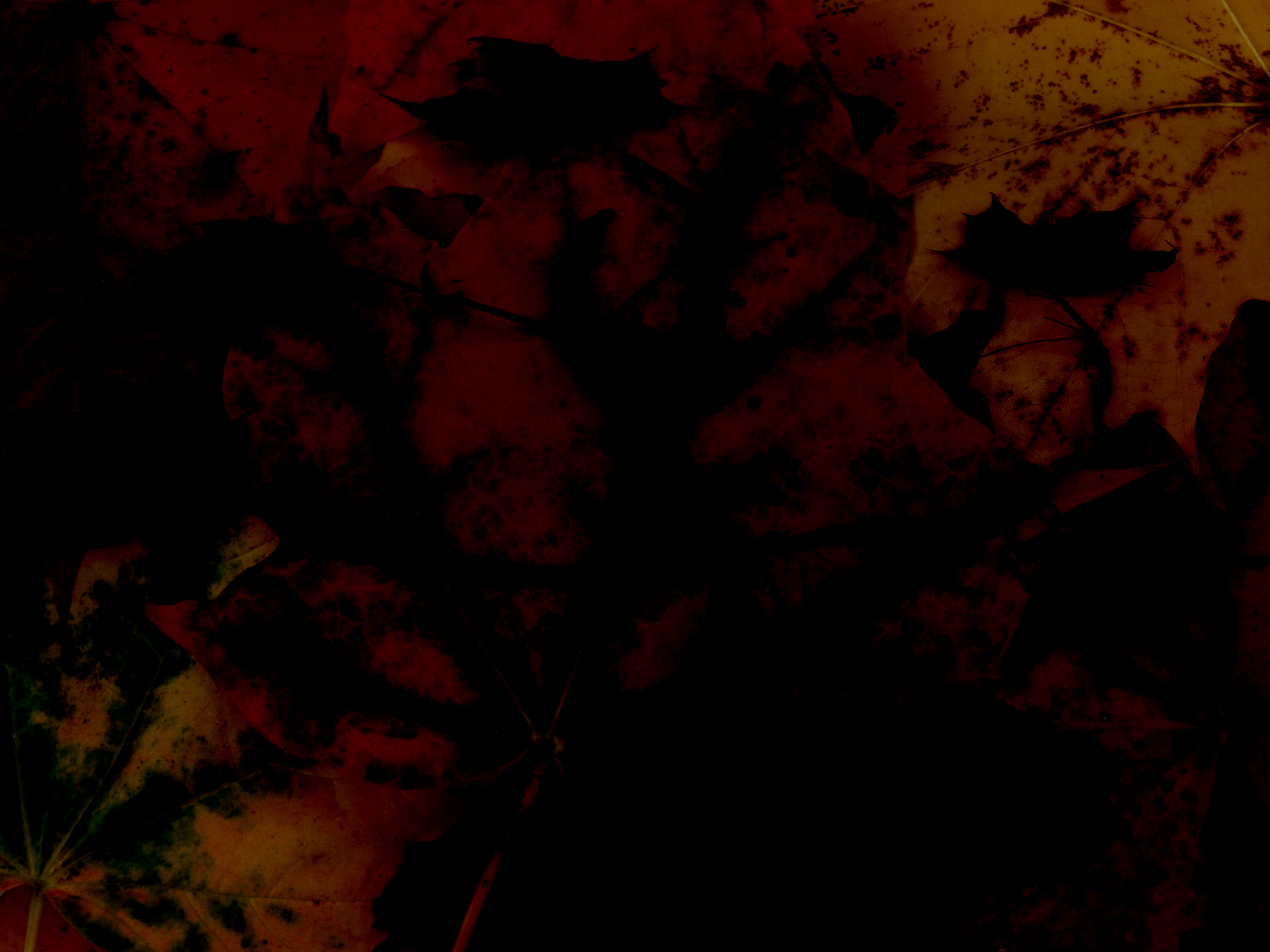 Dark Background, Black, Dark, Fill, Grunge, HQ Photo