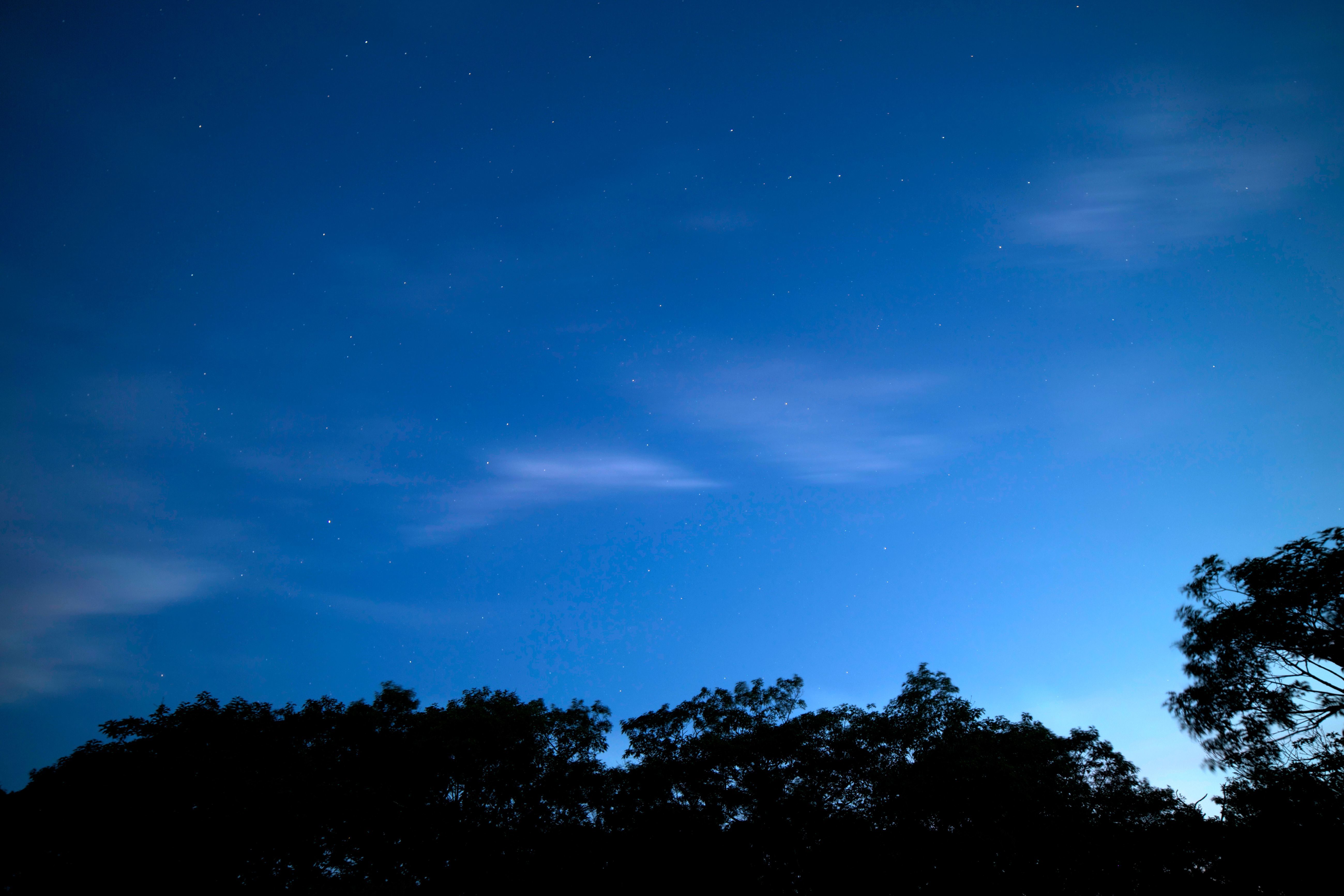 Free picture: dark blue sky, clear sky, dusk, stars, clouds, trees ...
