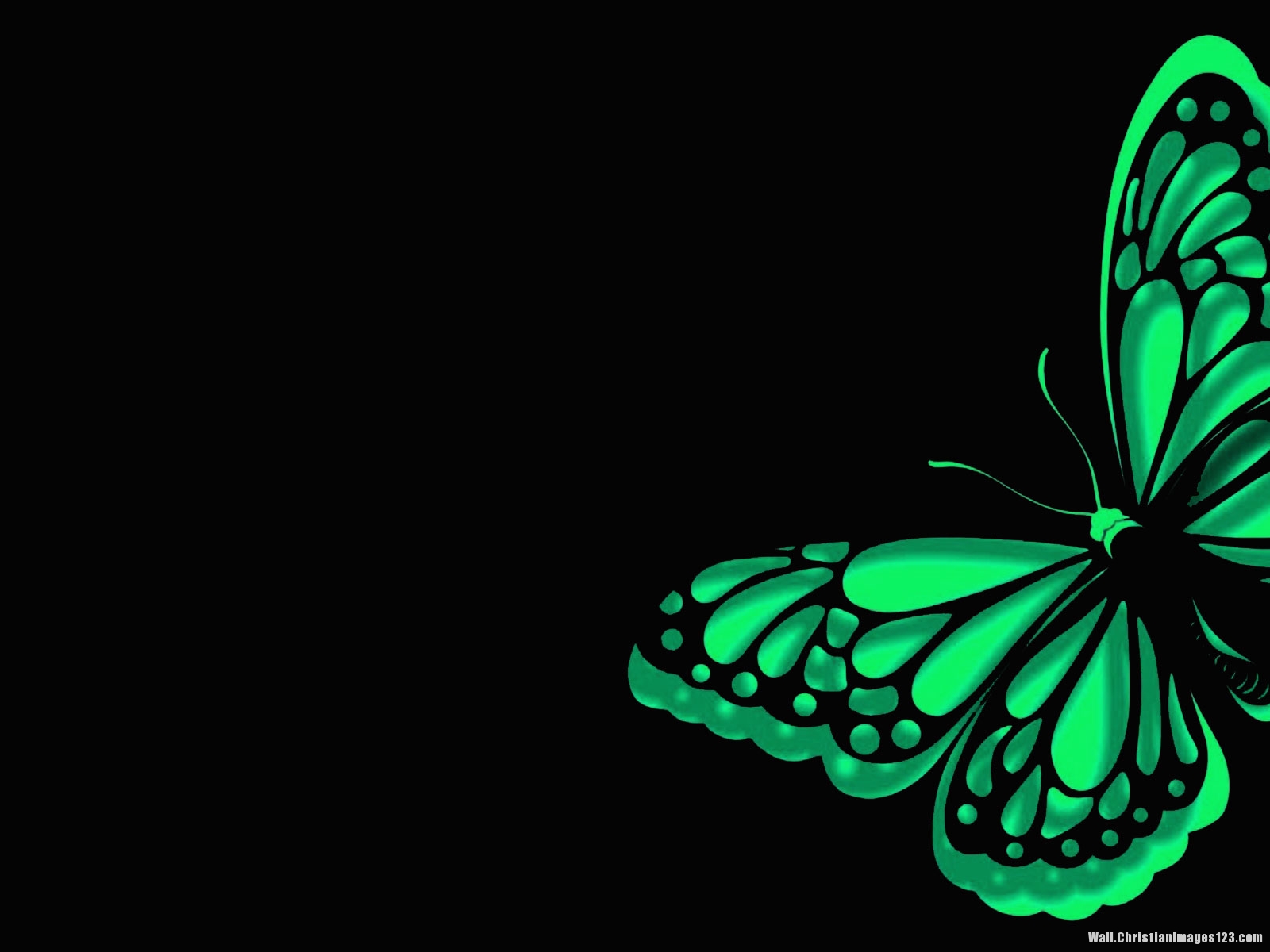 Glow In The Dark Butterfly Dark Background for Powerpoint – Wall
