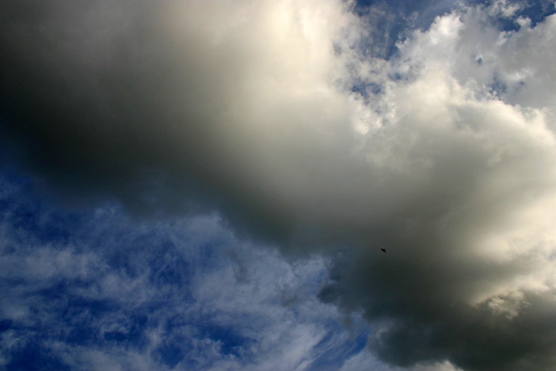 Dark clouds, Blue, Clouds, Cloudy, Dark, HQ Photo