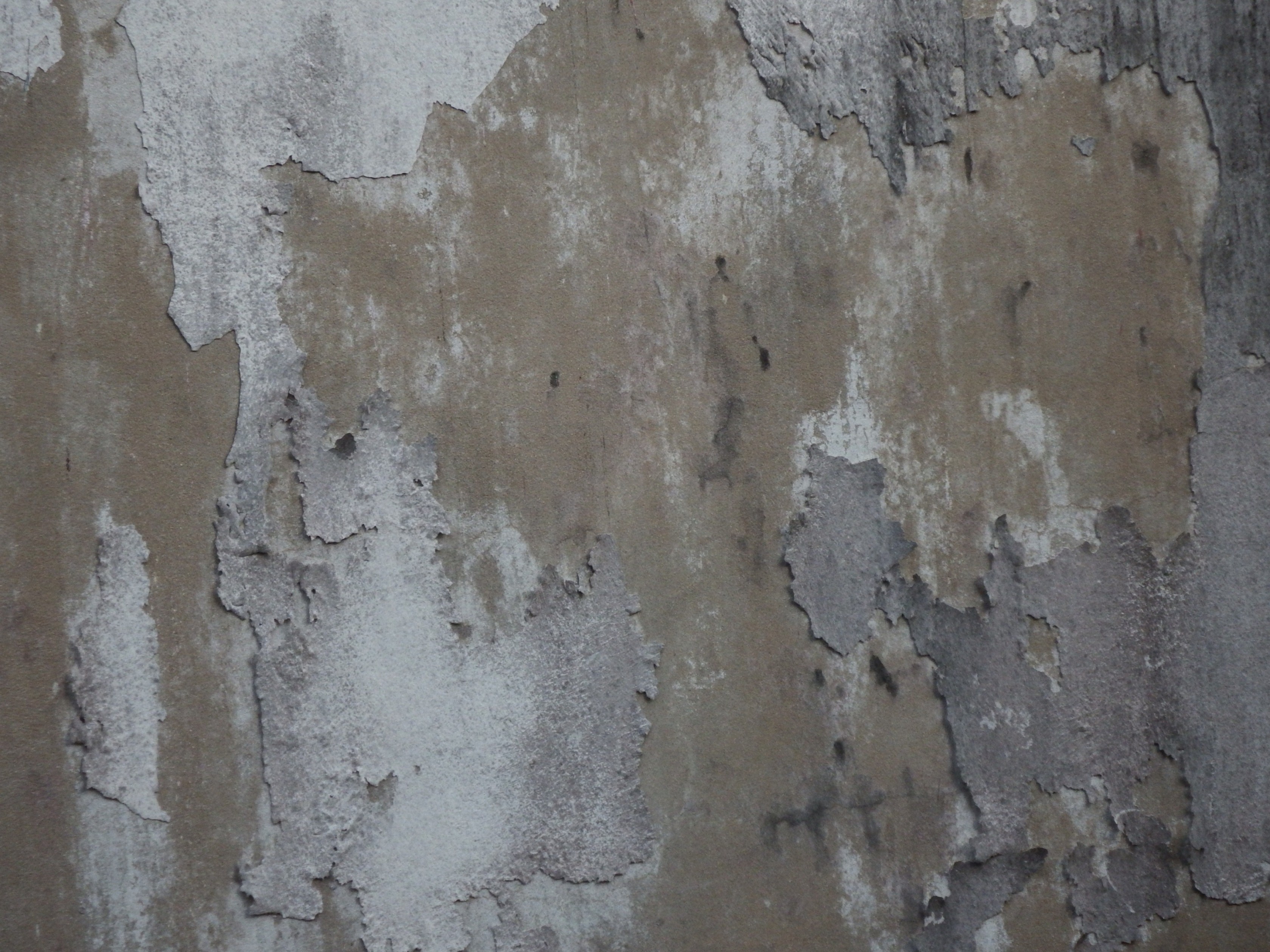 Dark grey concrete texture photo