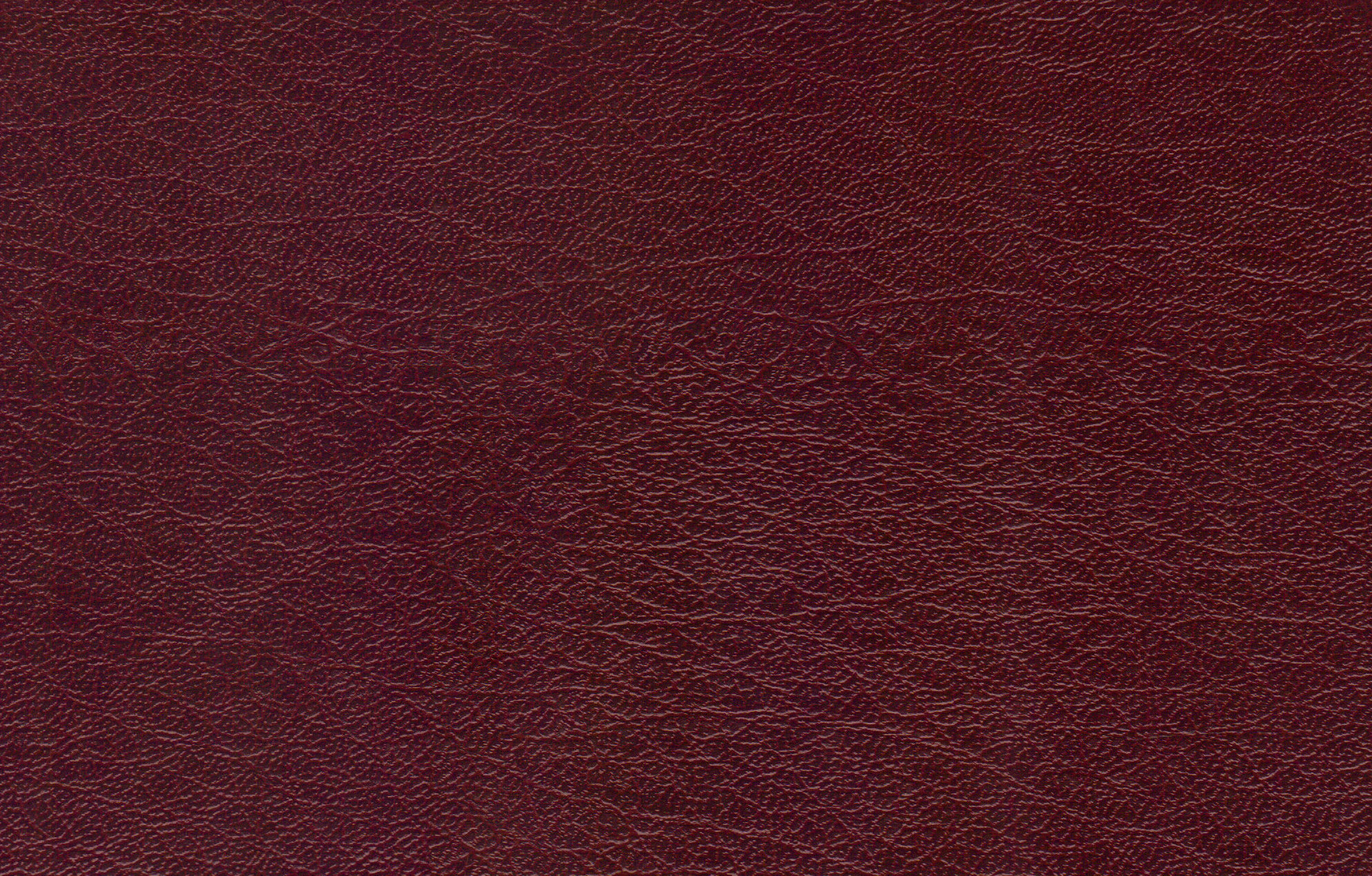 Leather Textures (JPG) | OnlyGFX.com