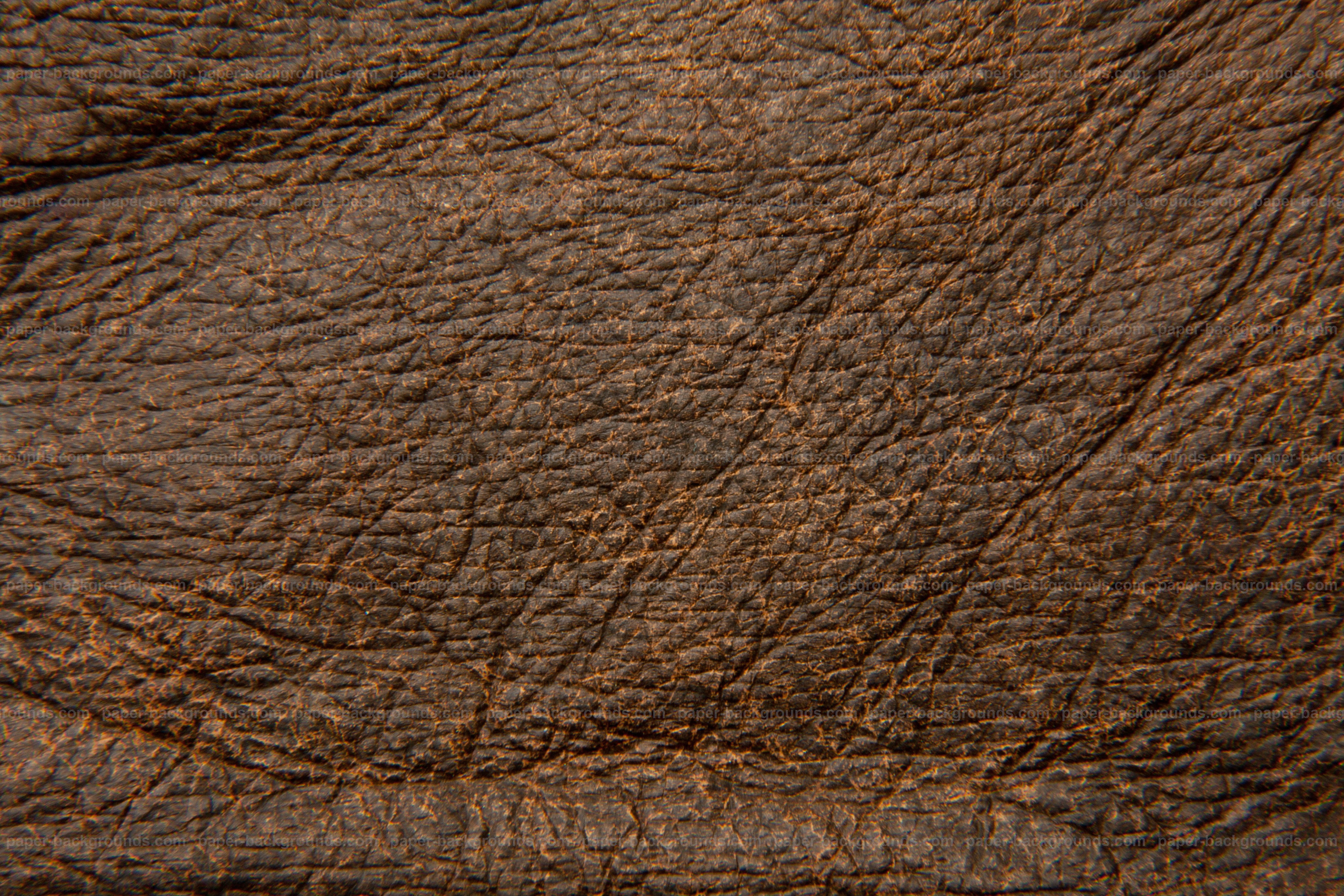 Paper Backgrounds | Rough Dark Brown Leather Texture High Resolution