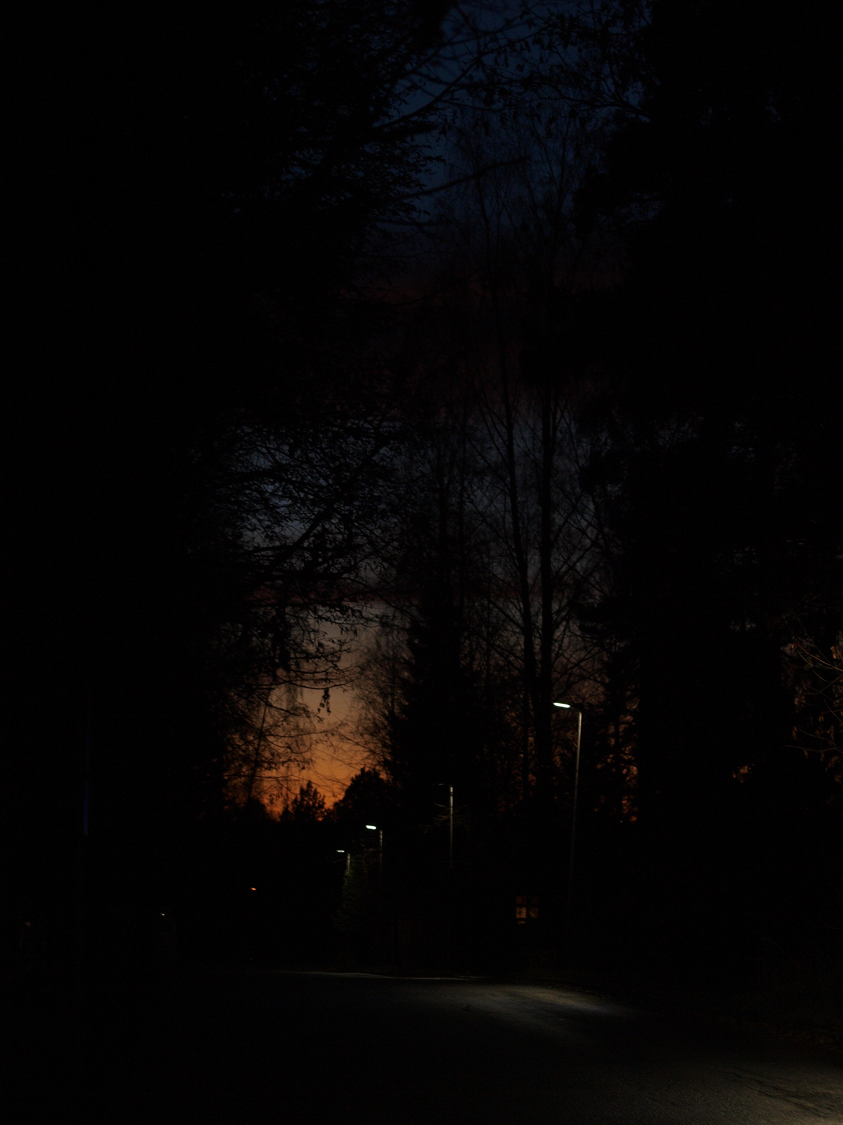 Dark street, Colors, Dark, Evening, Light, HQ Photo