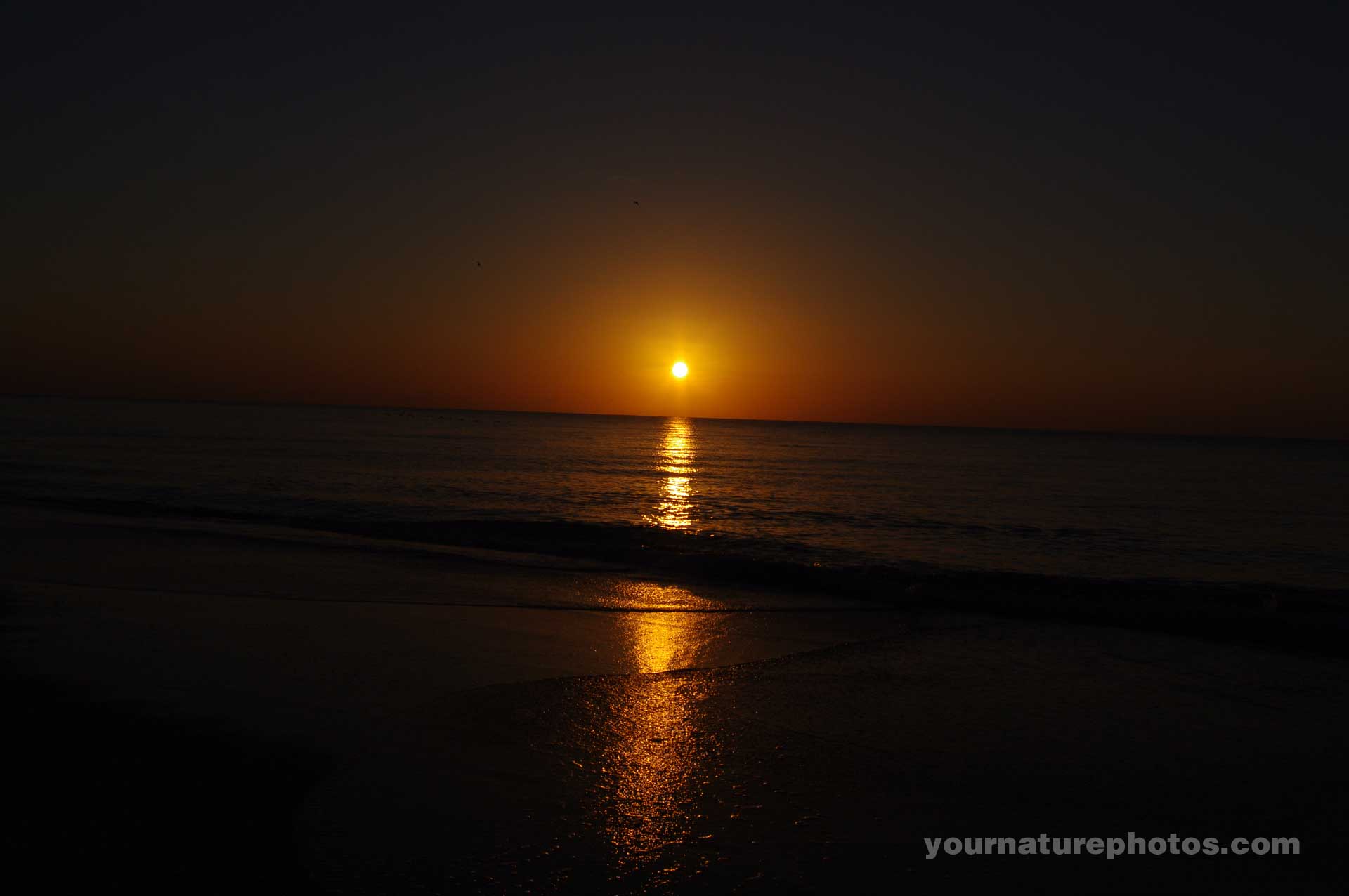 dark sunrise pacific ocean | Yournaturephotos.com HD Nature Wallpapers