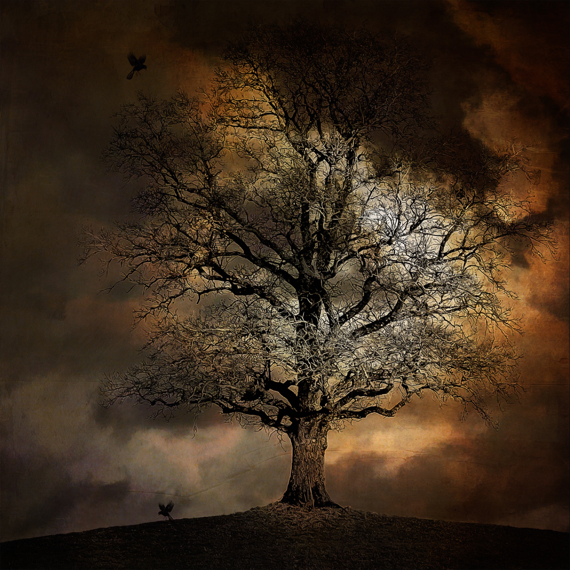 Дерево молчания. Темное дерево. Мистическое дерево. Мрачное дерево. Мрачное одинокое дерево.