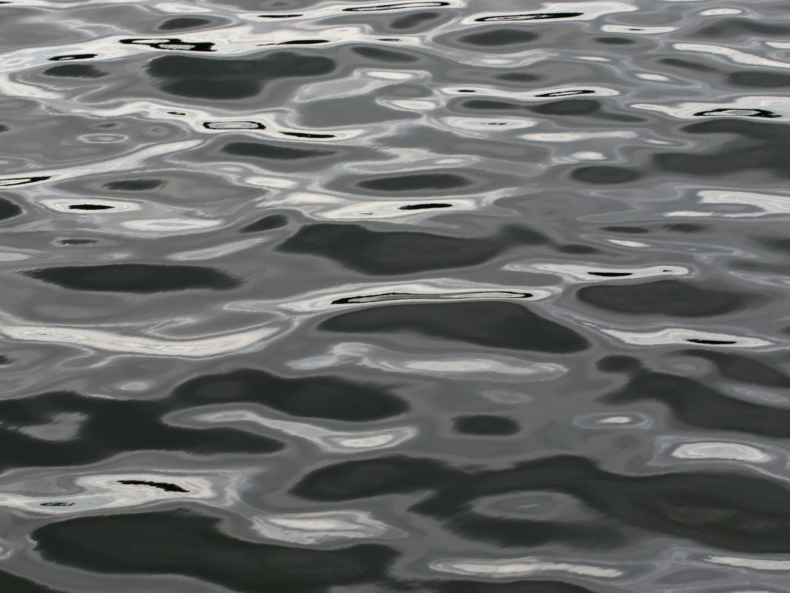 Dark Water Ripples on a Lake Water Desktop Wallpaper - 1600x1200 pixels