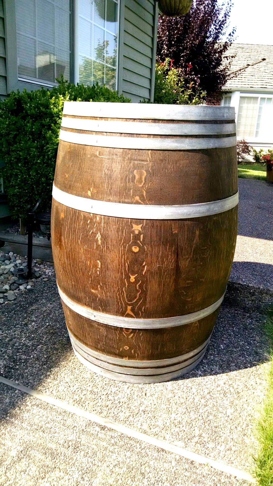 Dark wine barrel photo
