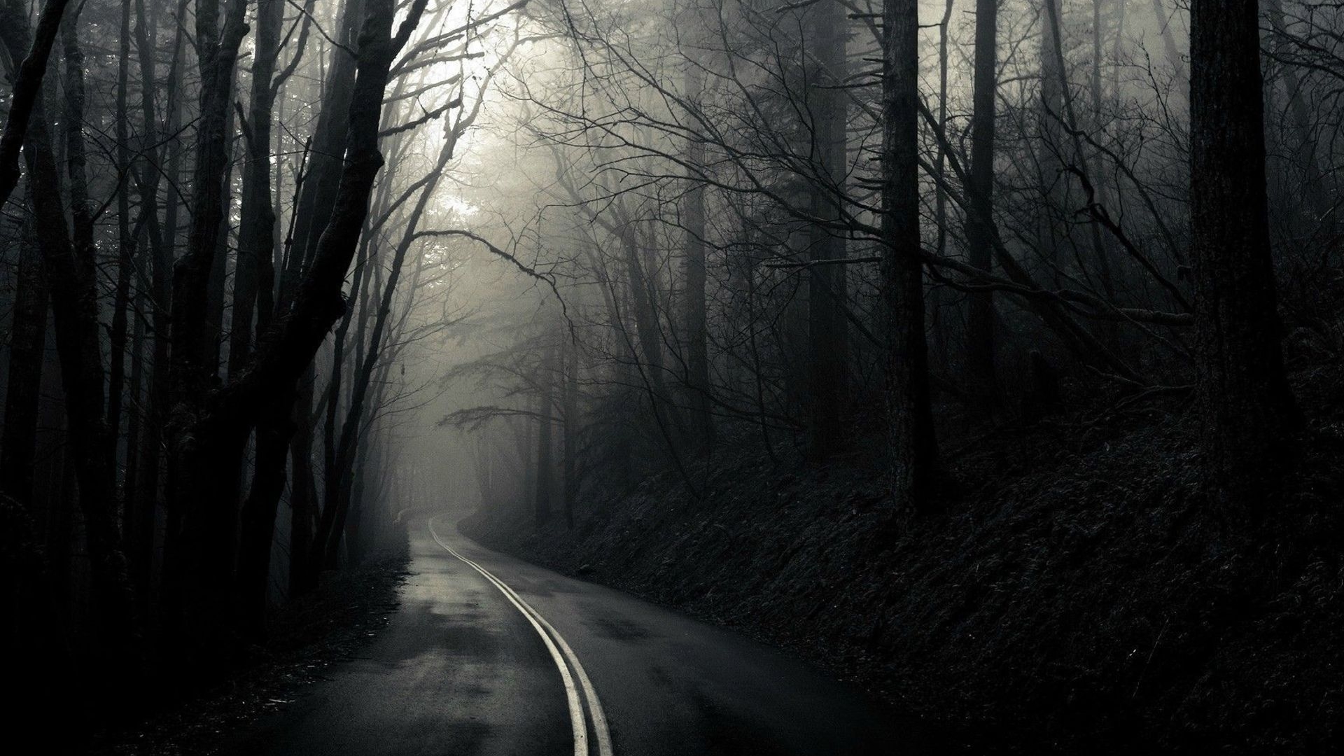 Road Through The Dark Woods Full HD Wallpaper and Background Image ...