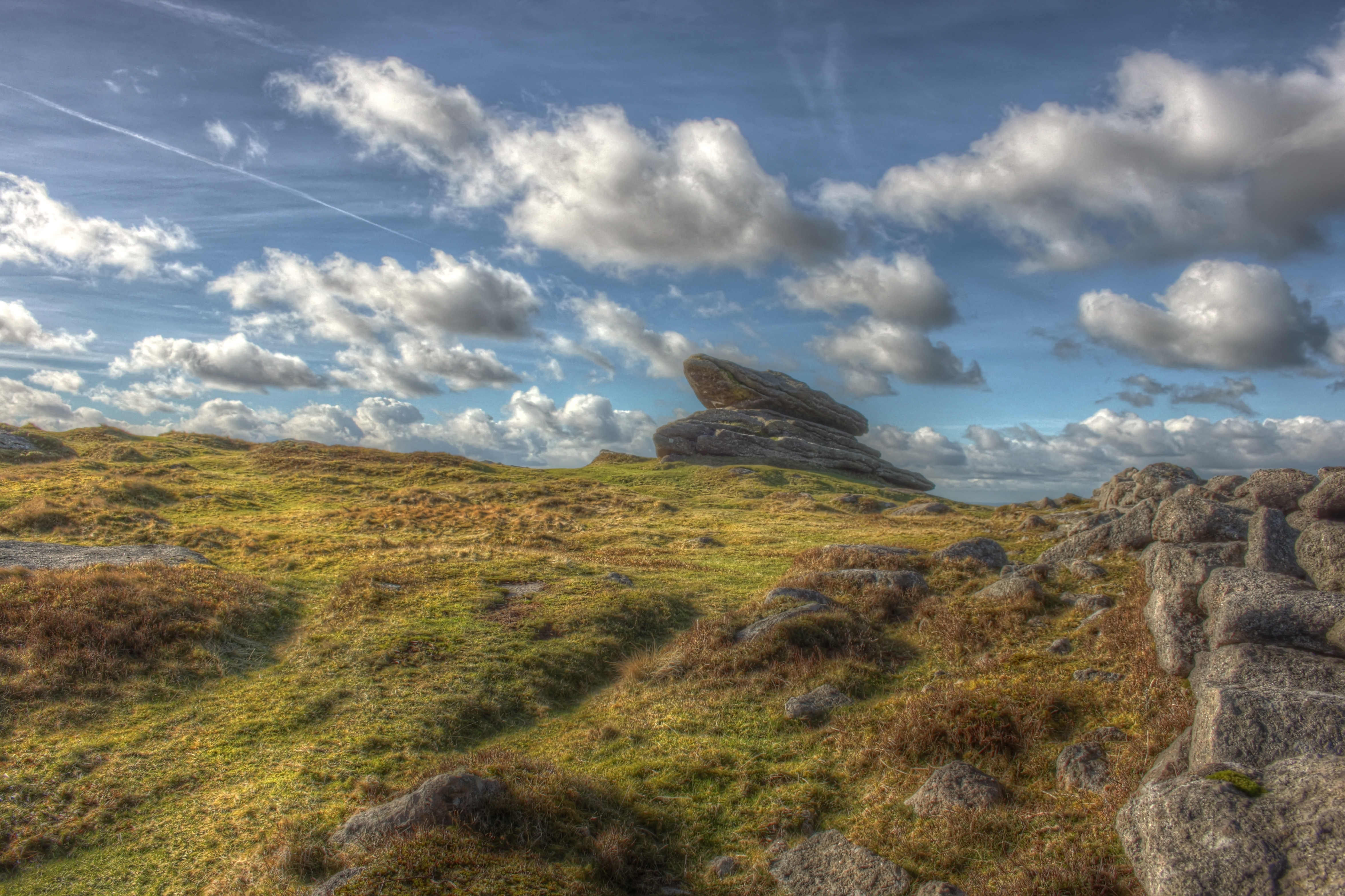Dartmoor's pride rock photo