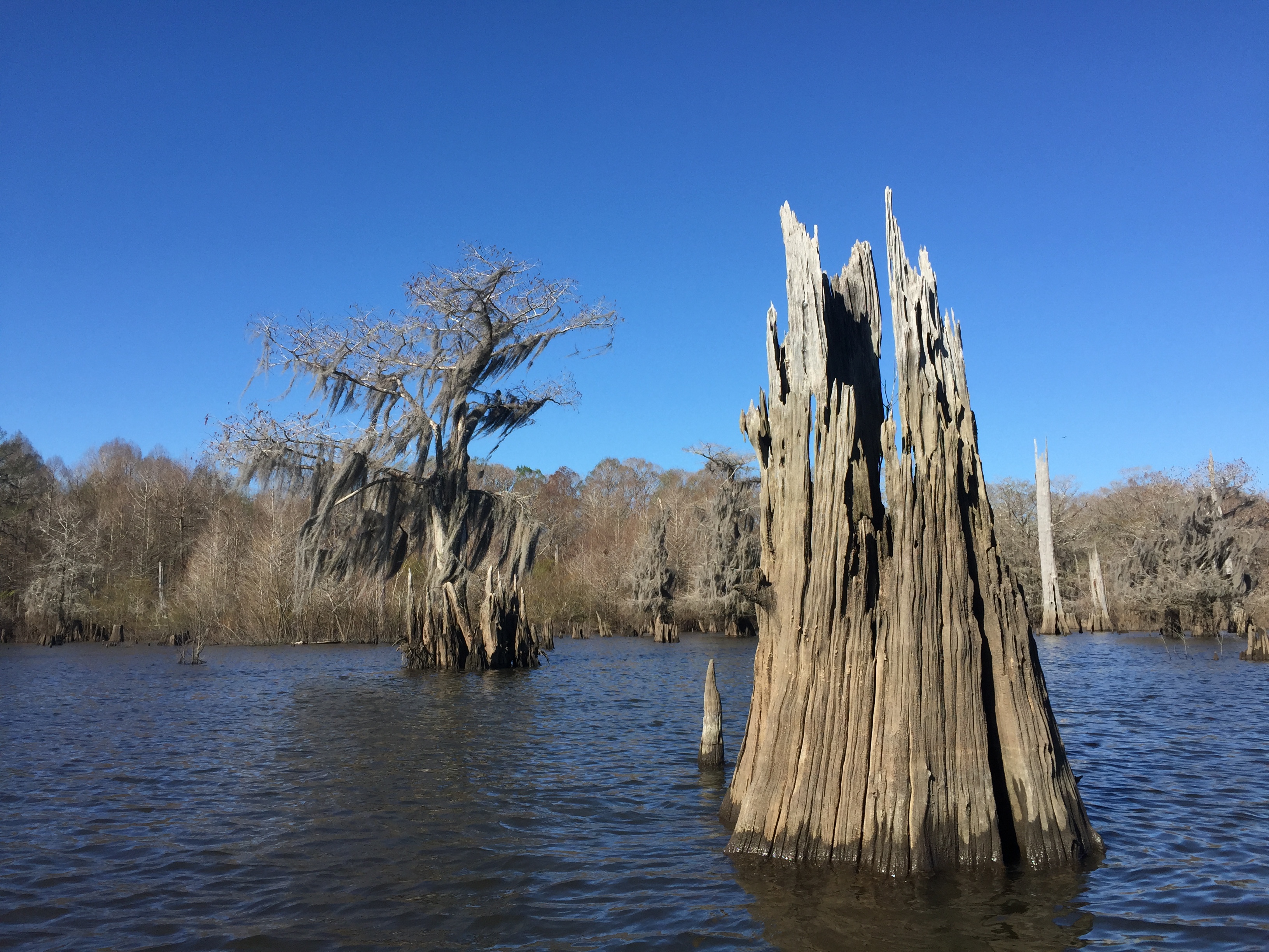 Big River: the Apalachicola – National Geographic Blog