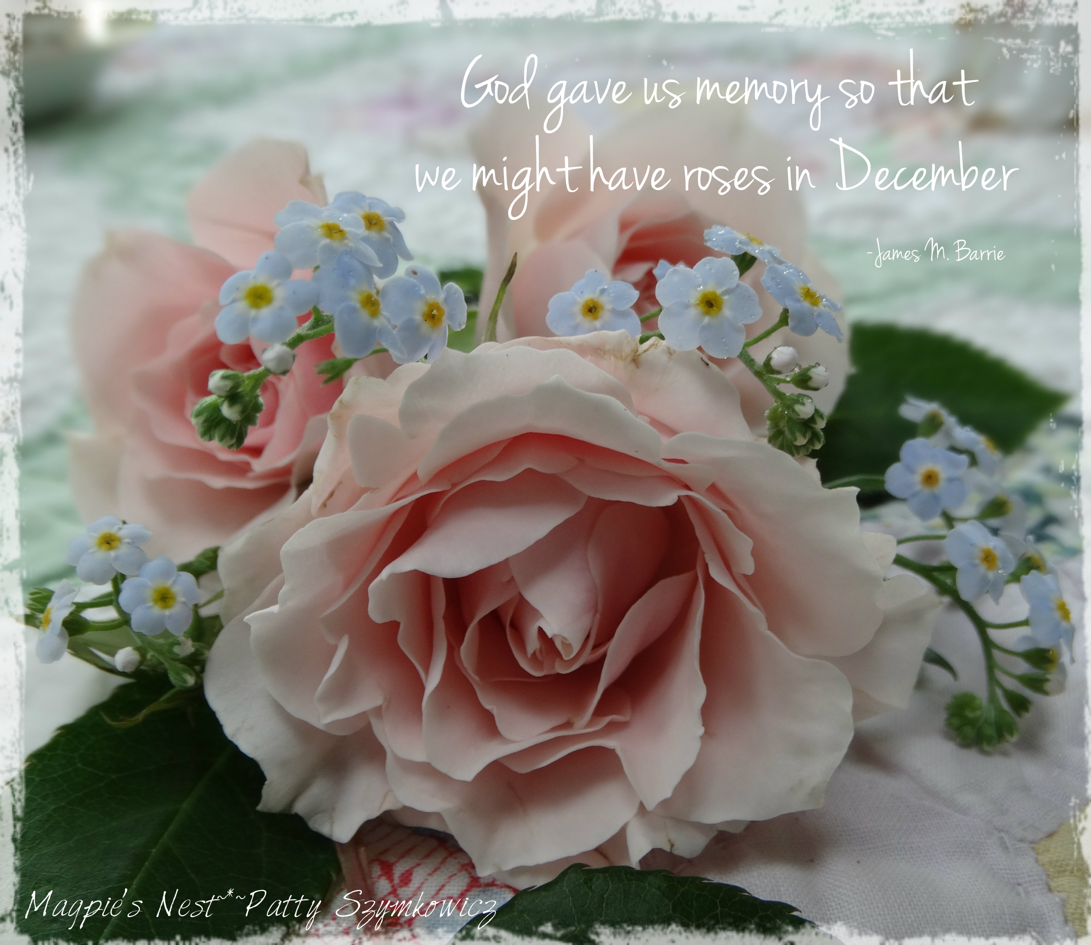 Roses in December T… | Magpie's Nest ~*~ Patty Szymkowicz