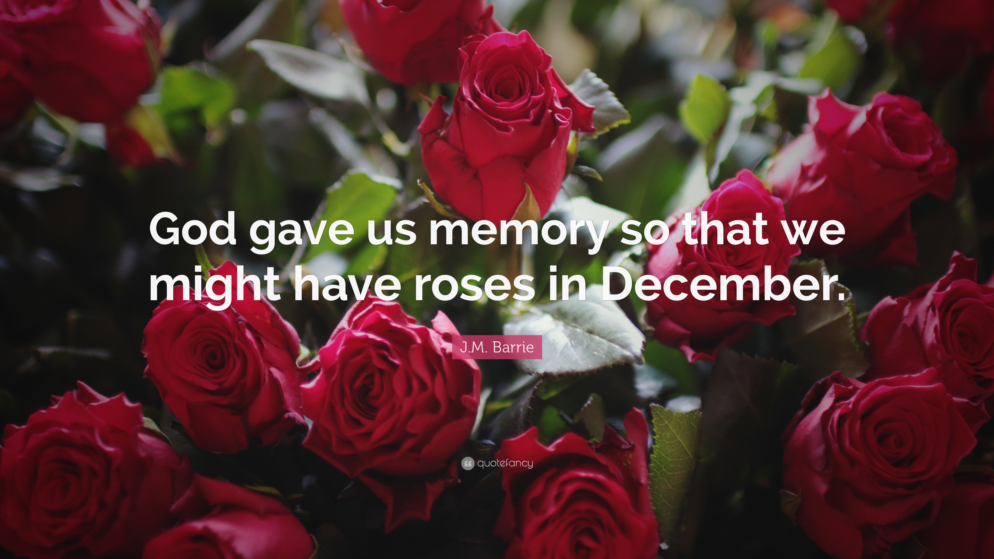 J.M. Barrie Quote: “God gave us memory so that we might have roses ...