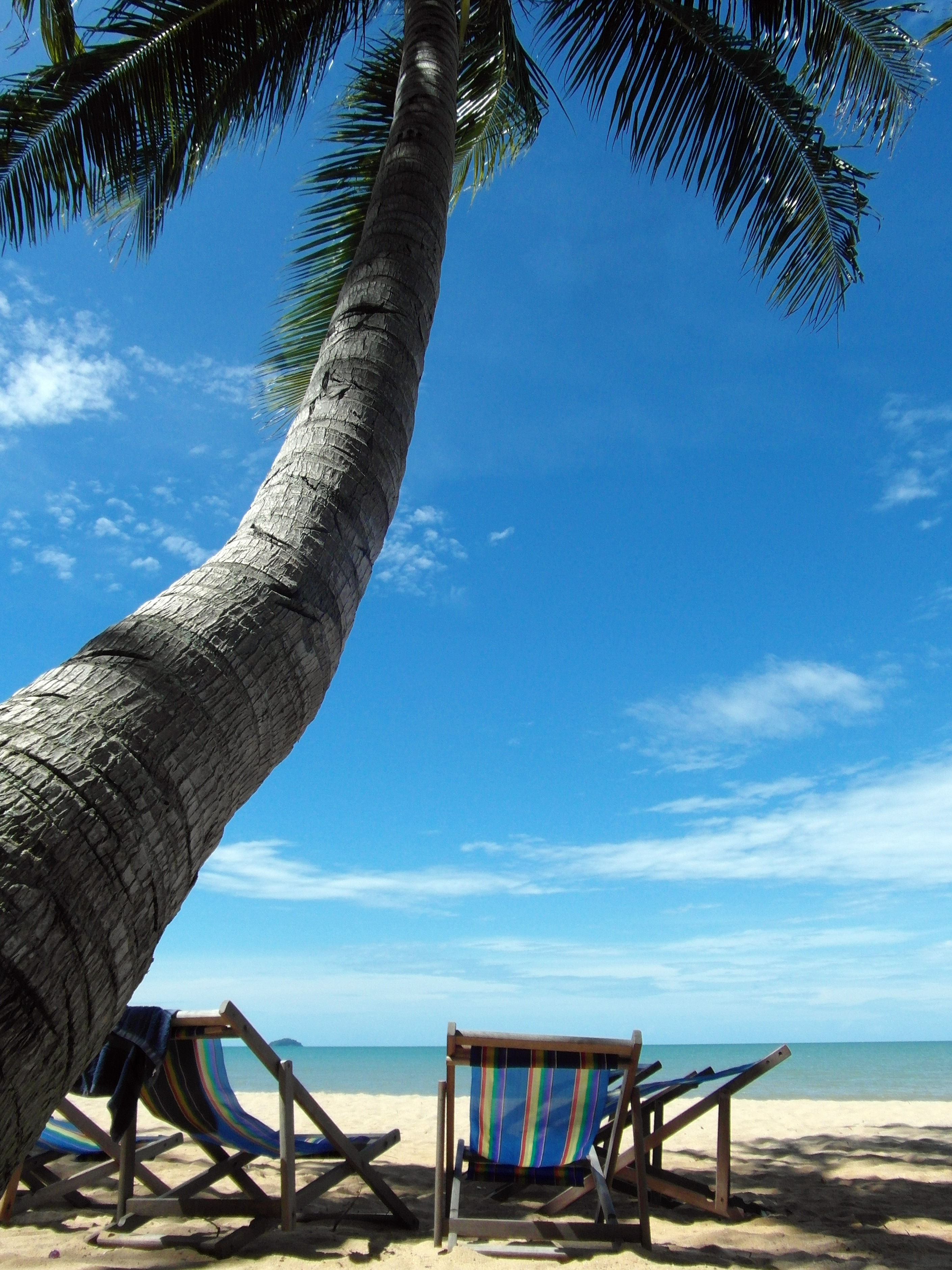 Deckchairs on a tropical beach photo