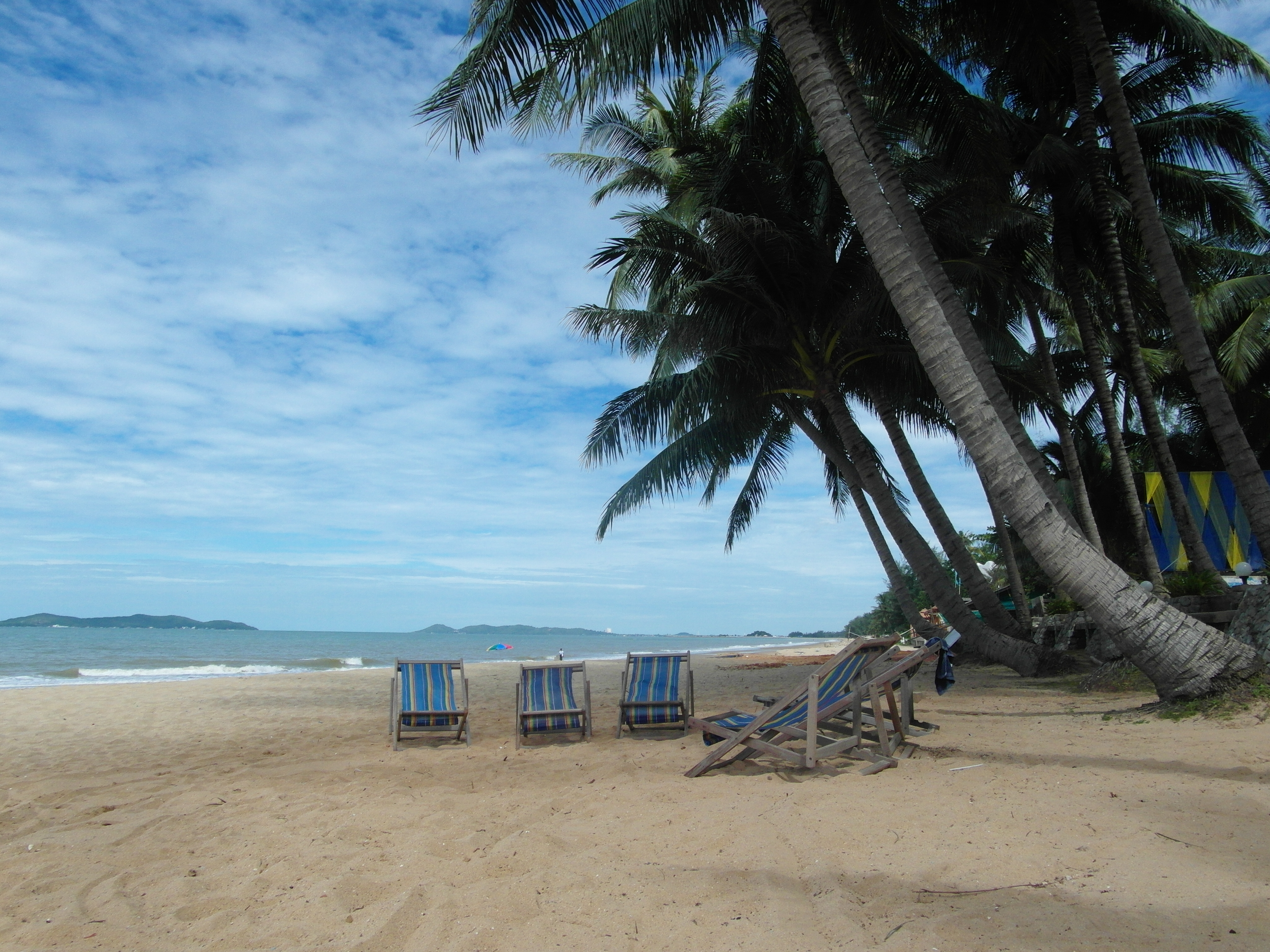 Deckchairs on a Tropical Beach, Alone, Palm, Tropical, Trees, HQ Photo