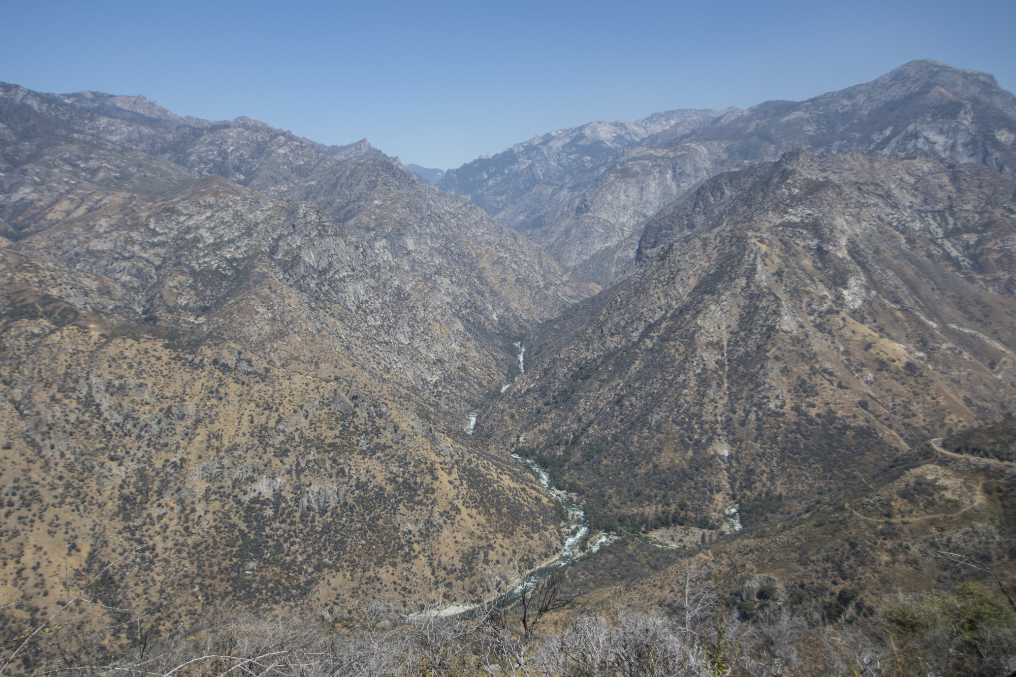 kings canyon national park | Roads End Naturalist