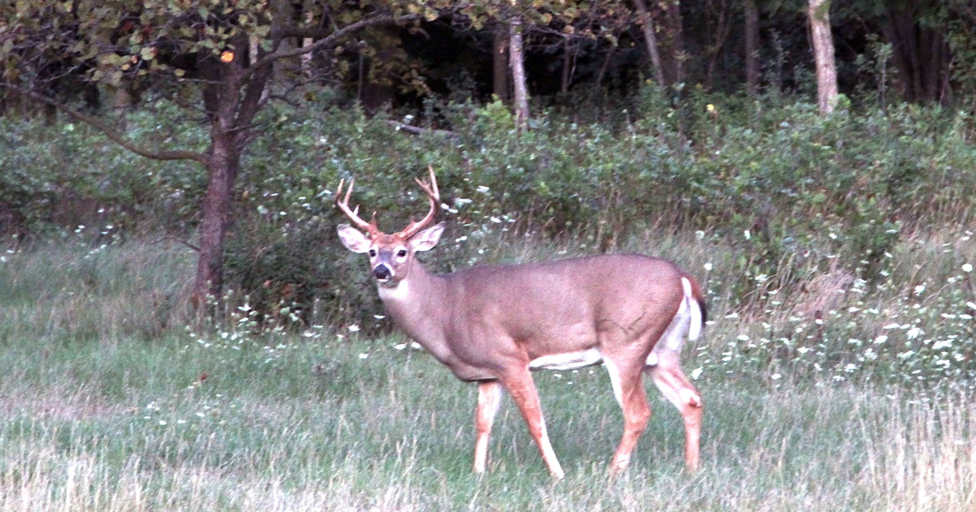 Deer hunting deaths: 2 die on Wisconsin's gun hunt opening day