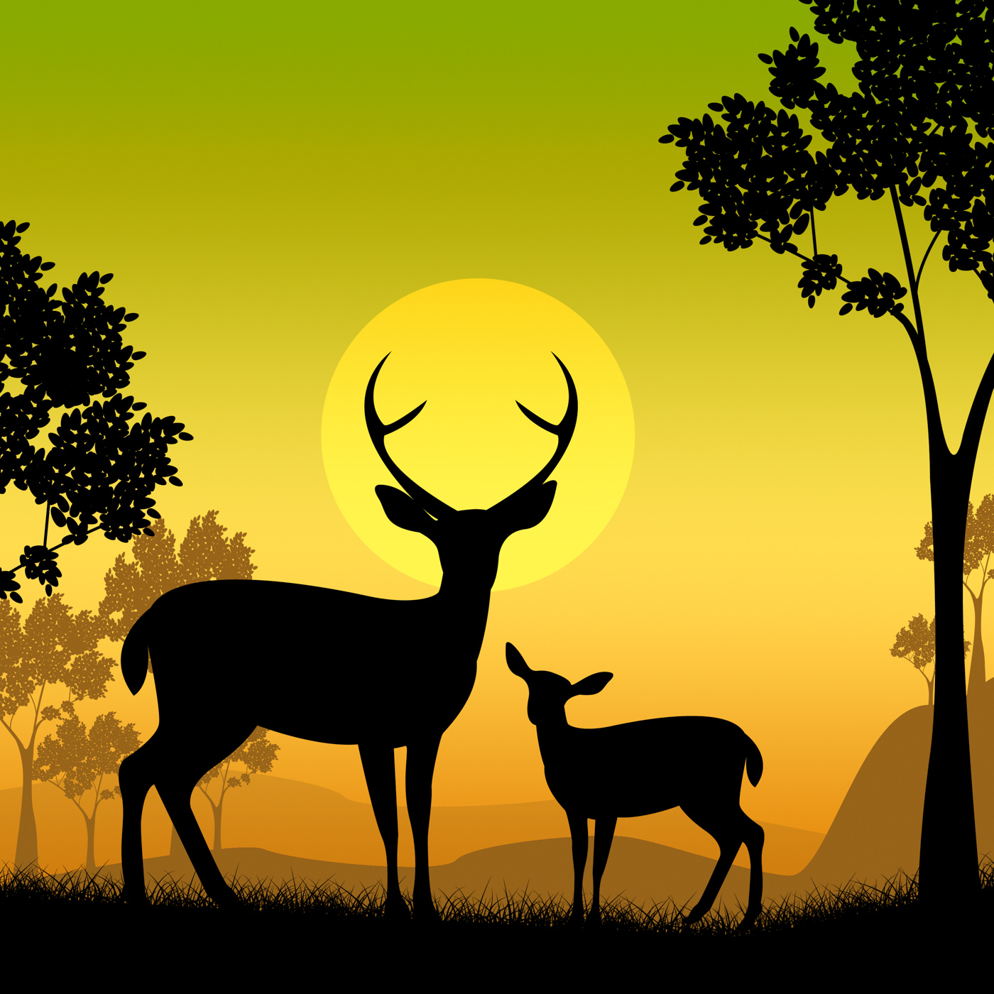 Deer wildlife indicates safari animals and evening photo
