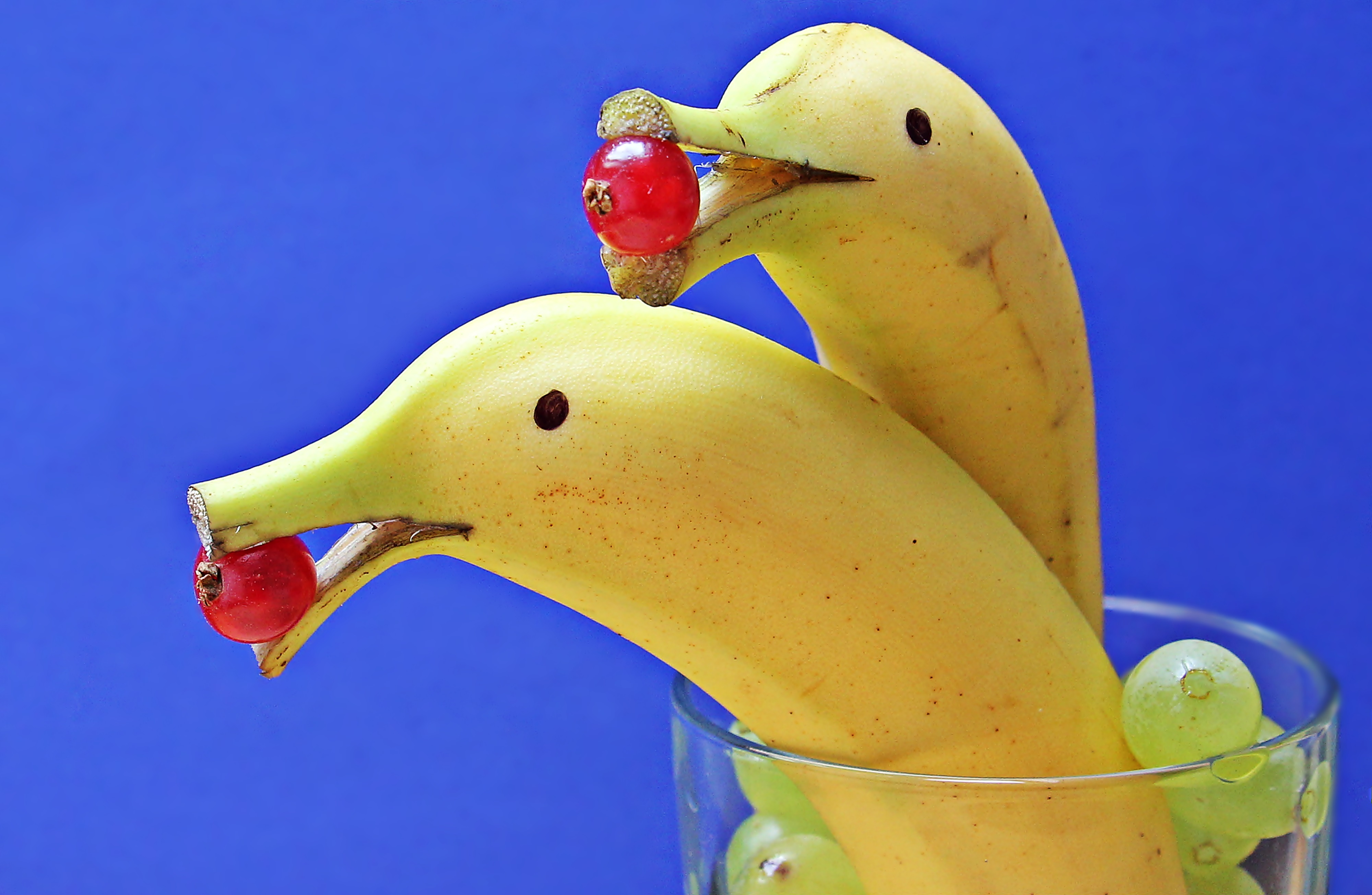 Delfin bananas photo