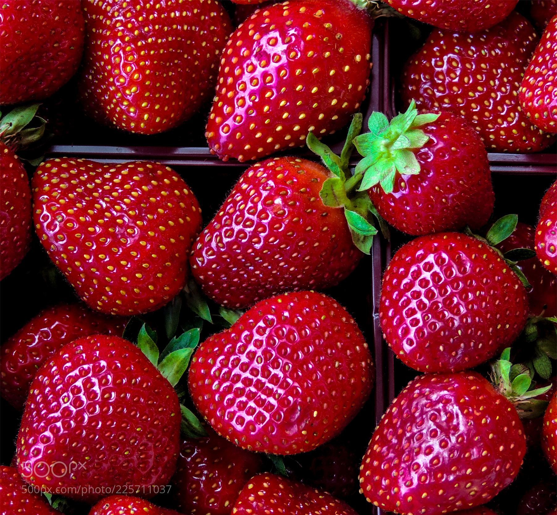 Roses are red. Strawberries are too! (Philippe Collard / Montreal ...