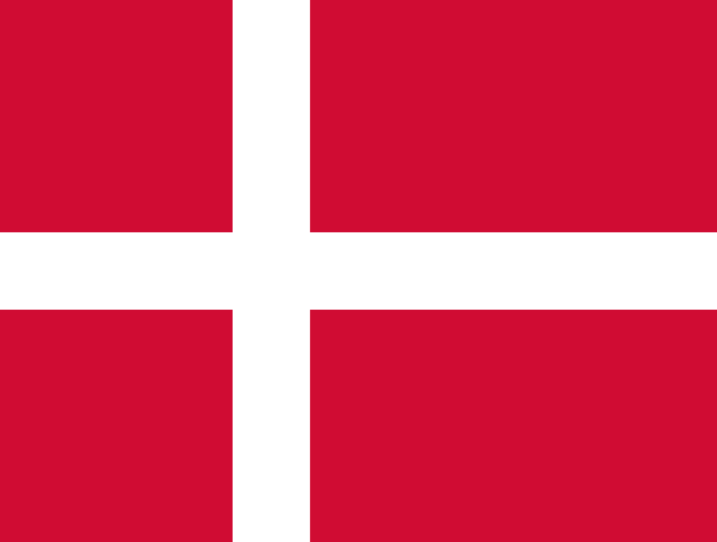 Denmark Flag - Ontario Flag & Pole