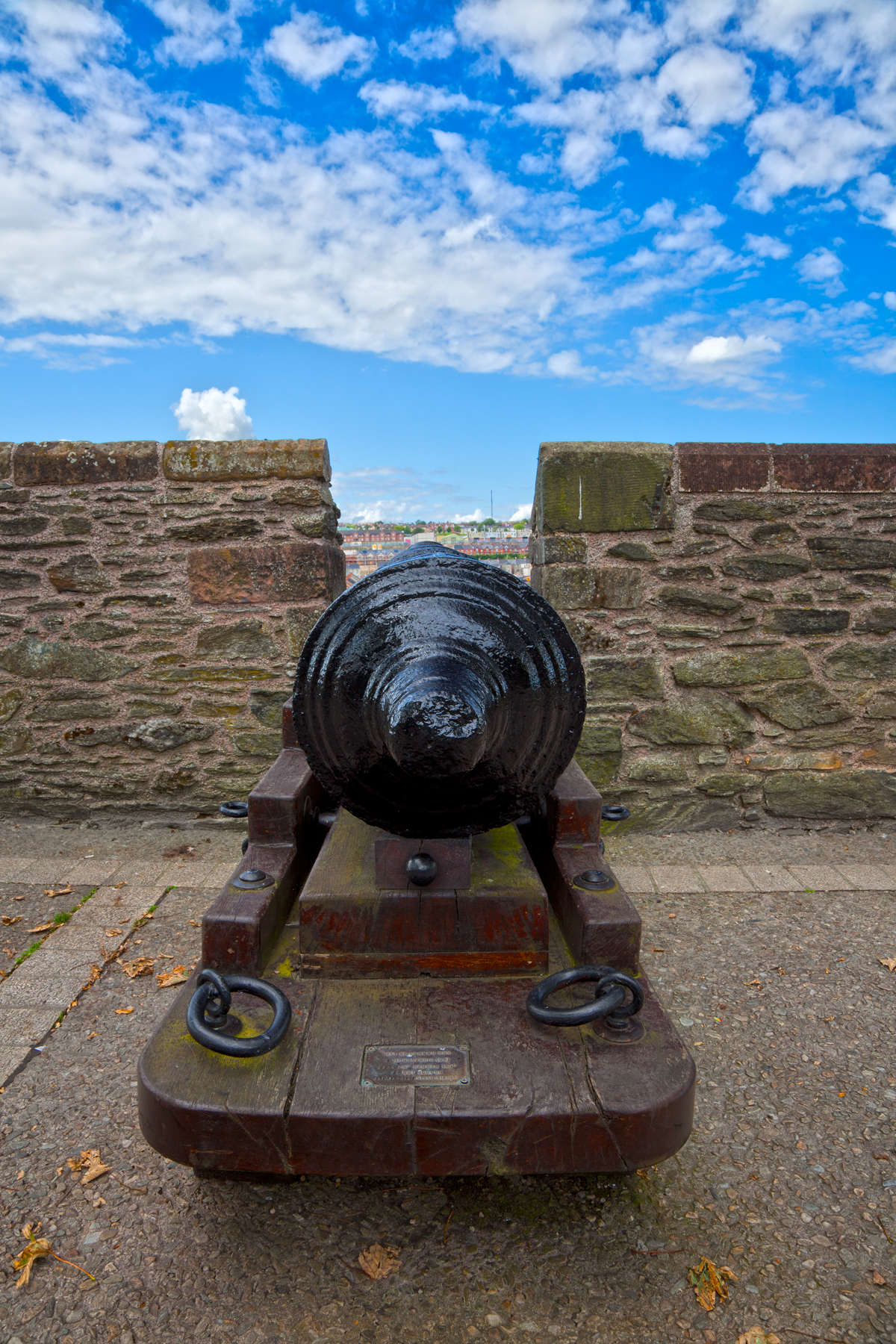Derry cannon - hdr photo