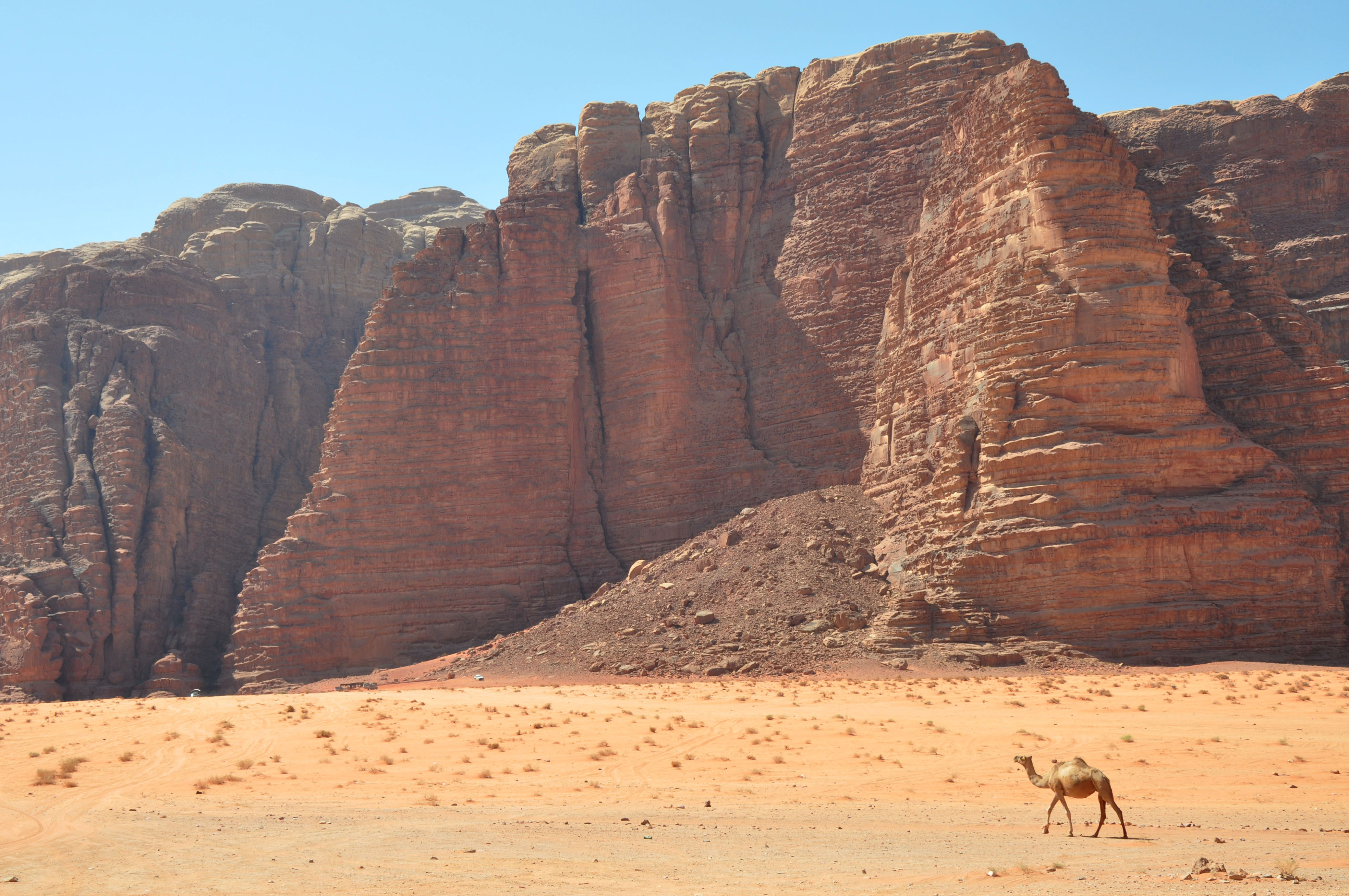 File:Desert landscape and a camel passing by (12465261834).jpg ...