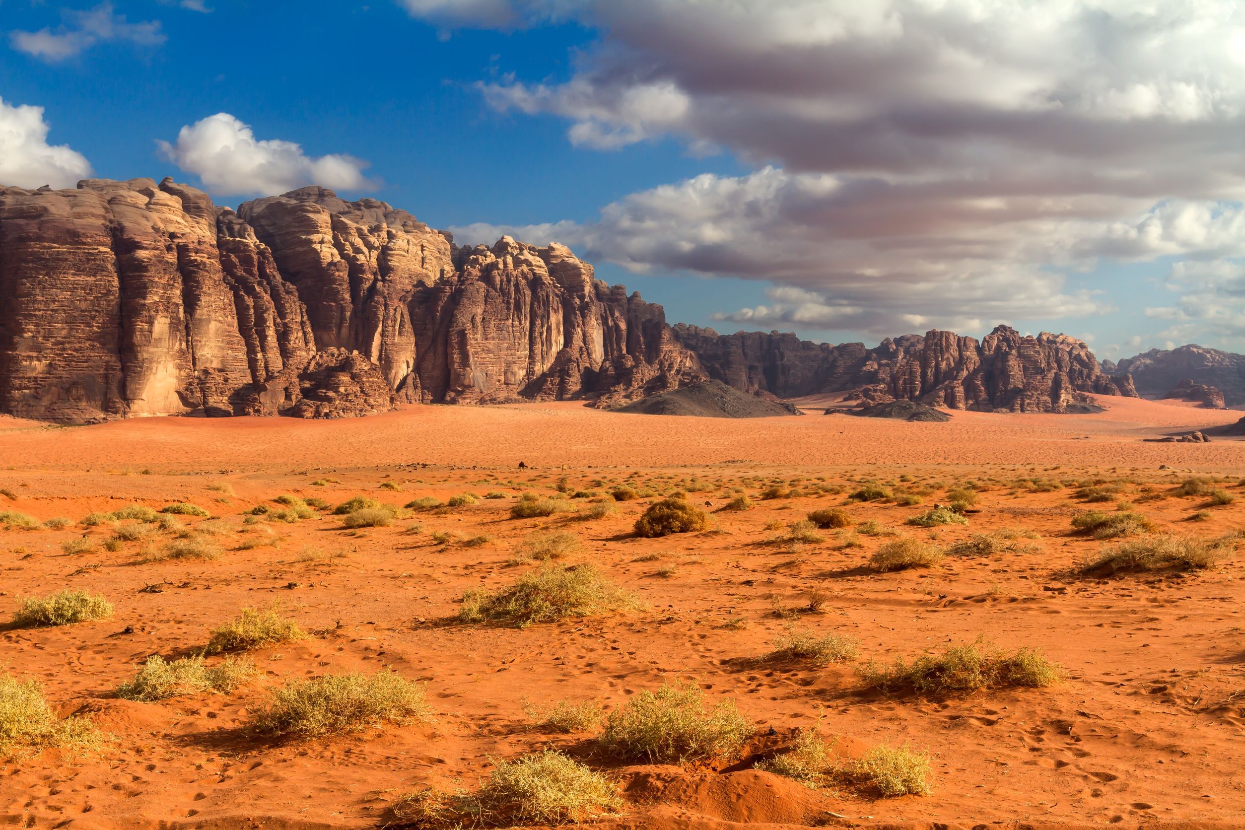 desert landscape - Google Search | Nomads | Pinterest