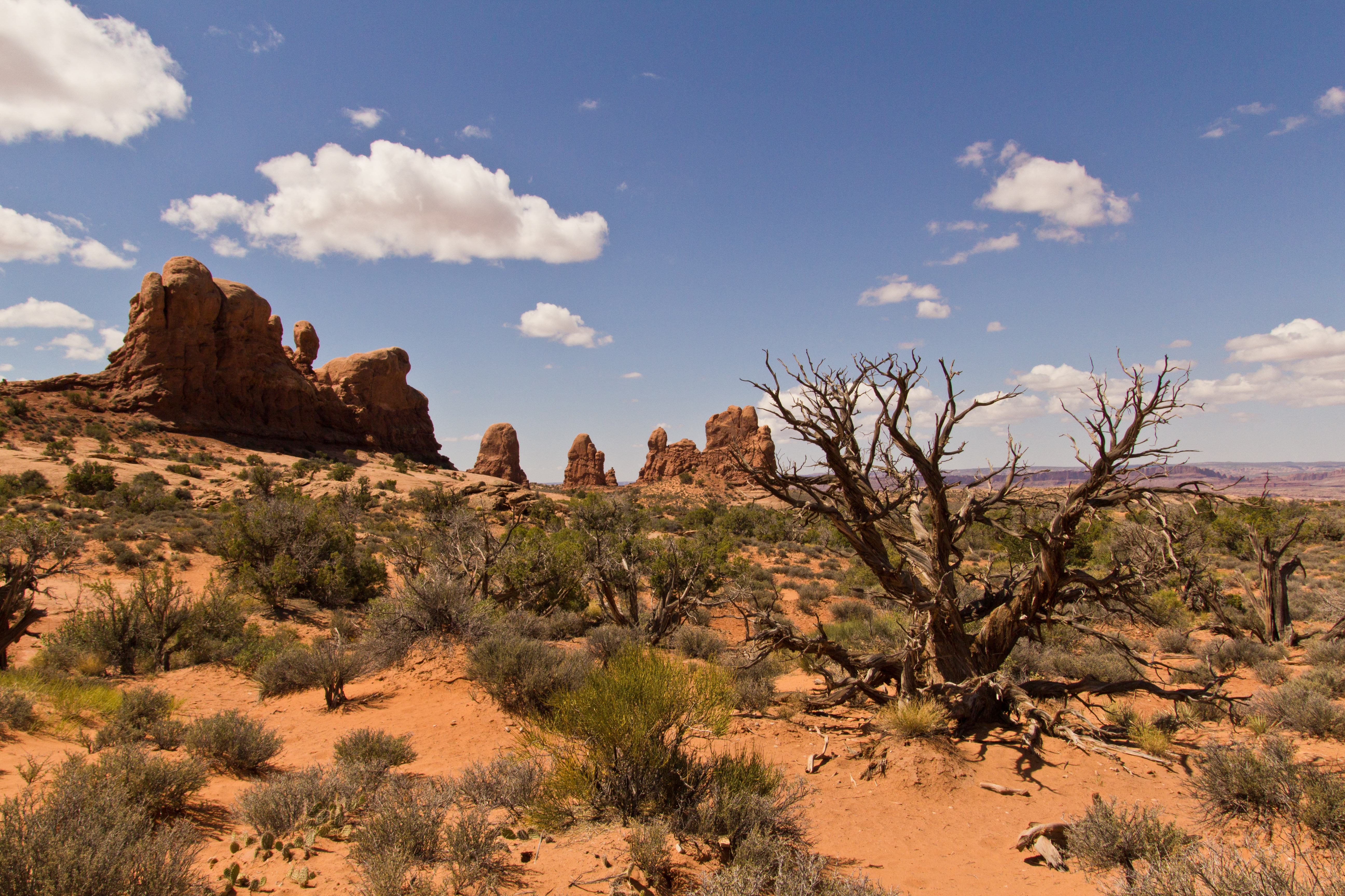 Desert Landscapes - Lessons - Tes Teach