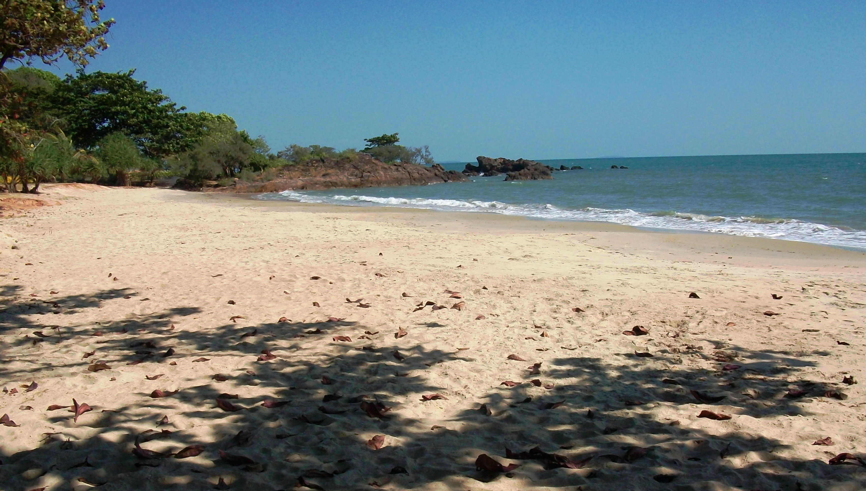 Deserted Beach, Alone, Rayong, Trees, Tree, HQ Photo
