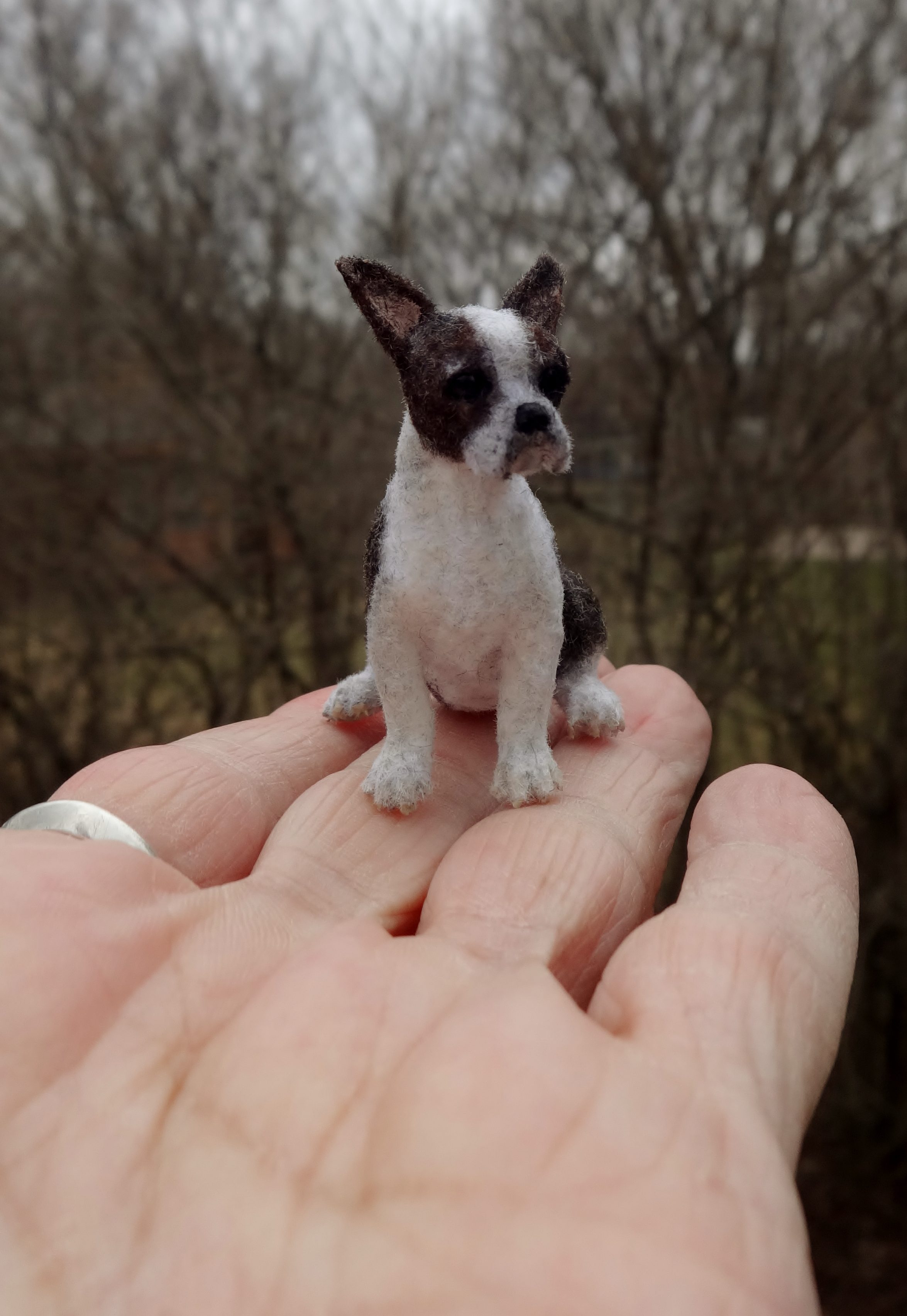 Daily Mini Interview: Designer Dog Miniatures by Lucy Francis