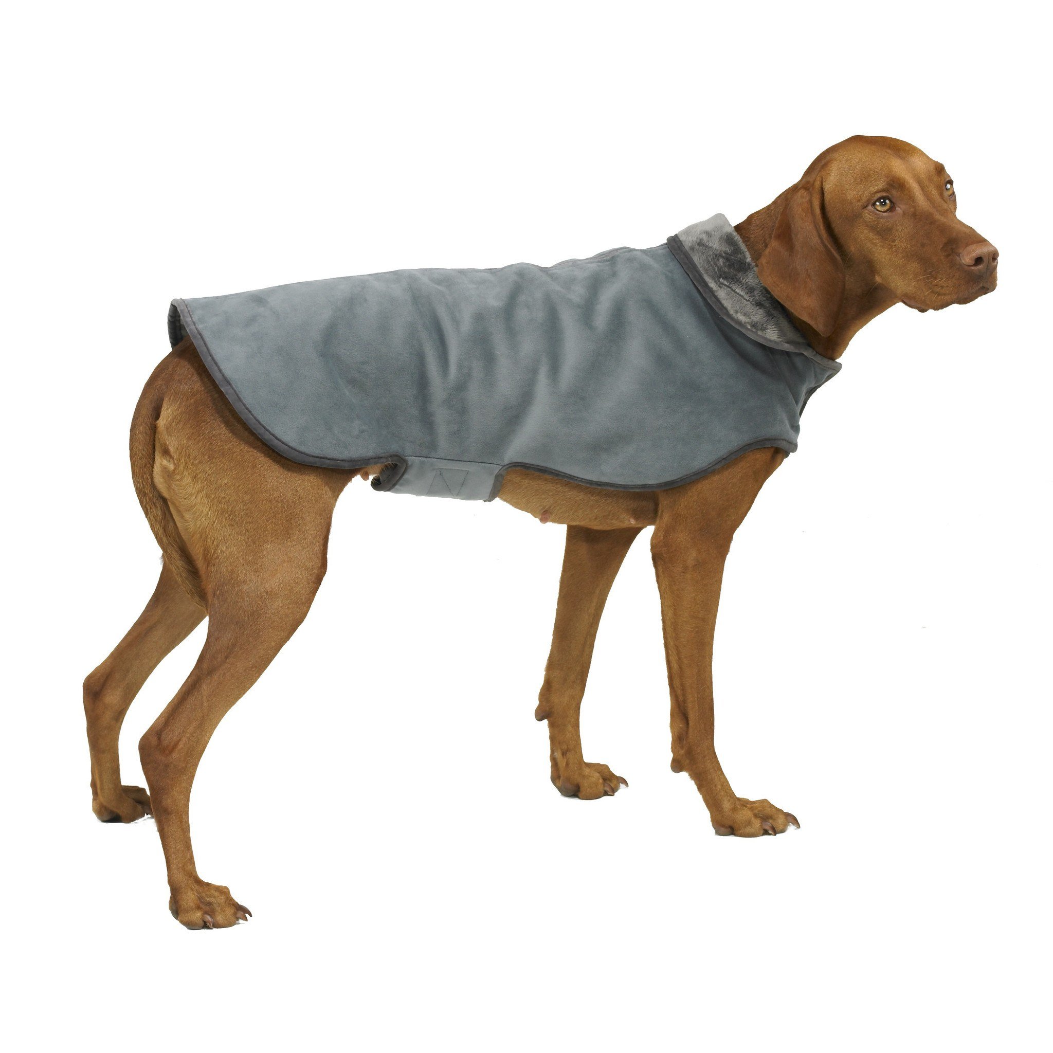 Bowsers Designer Dog Coat - Aubergine – Hollywood Feed