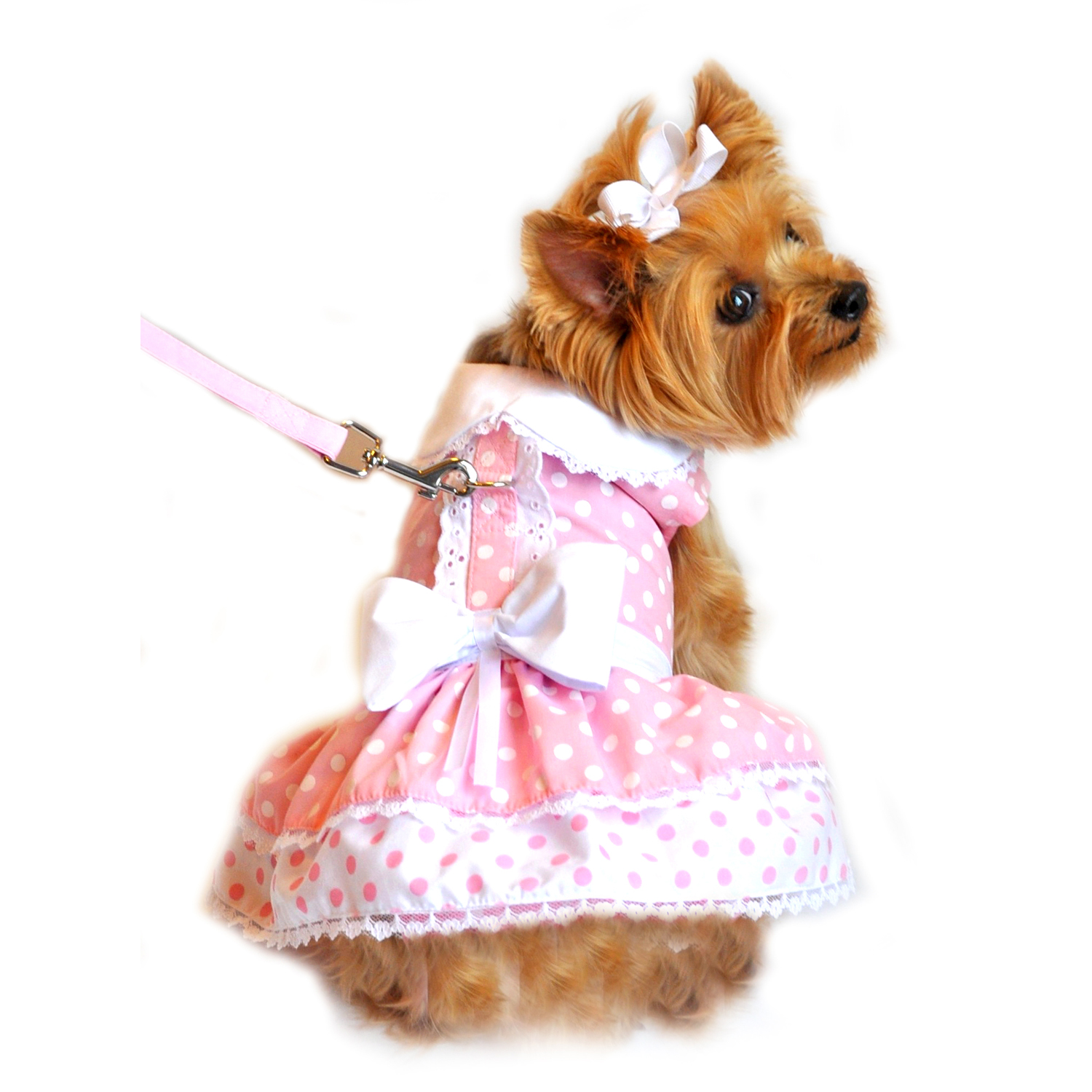 Pink Polka Dot and Lace Designer Dog Harness Dress by Doggie Design ...