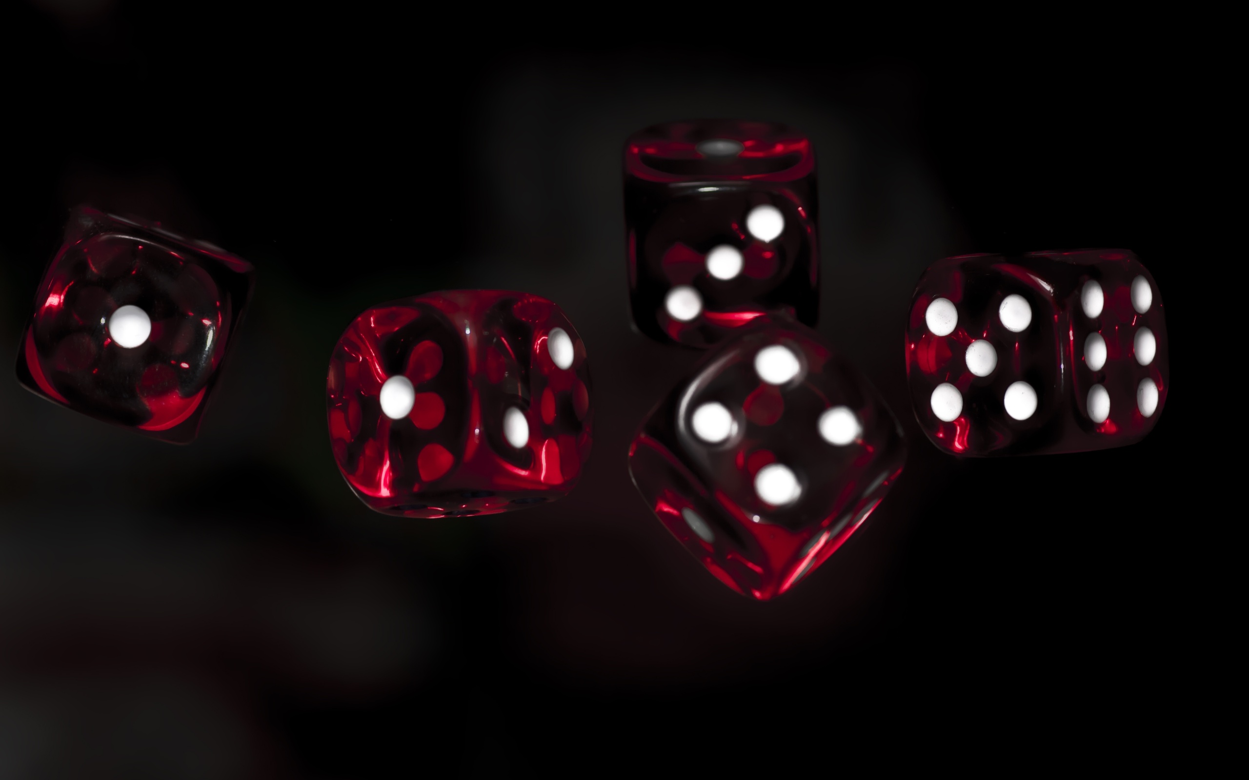 Dice Wallpapers 23 - [2560x1600]