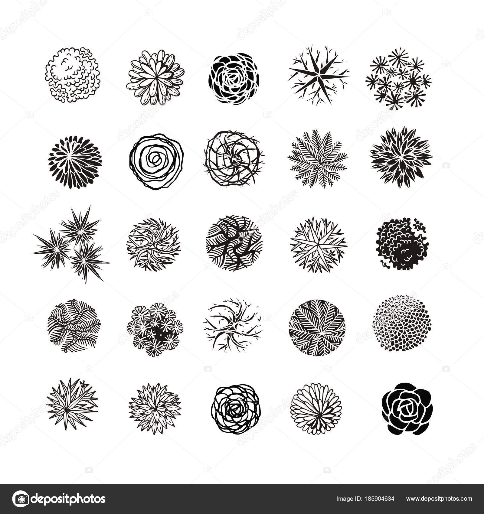 Different plants and trees vector set for landscape design — Stock ...