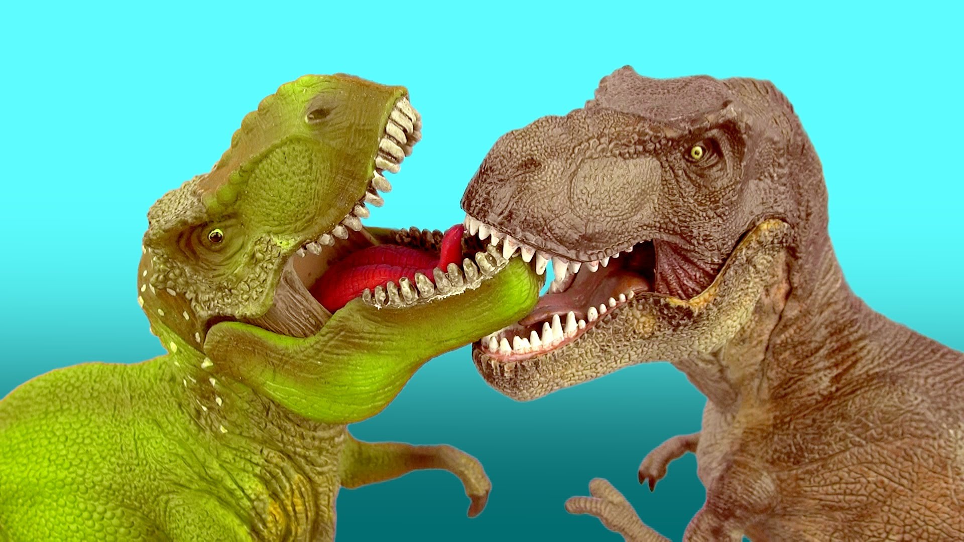 Dinosaur Fight T REX vs TYRANNOSAURUS Battle 공룡 싸움 ไดโนเสาร์ ...