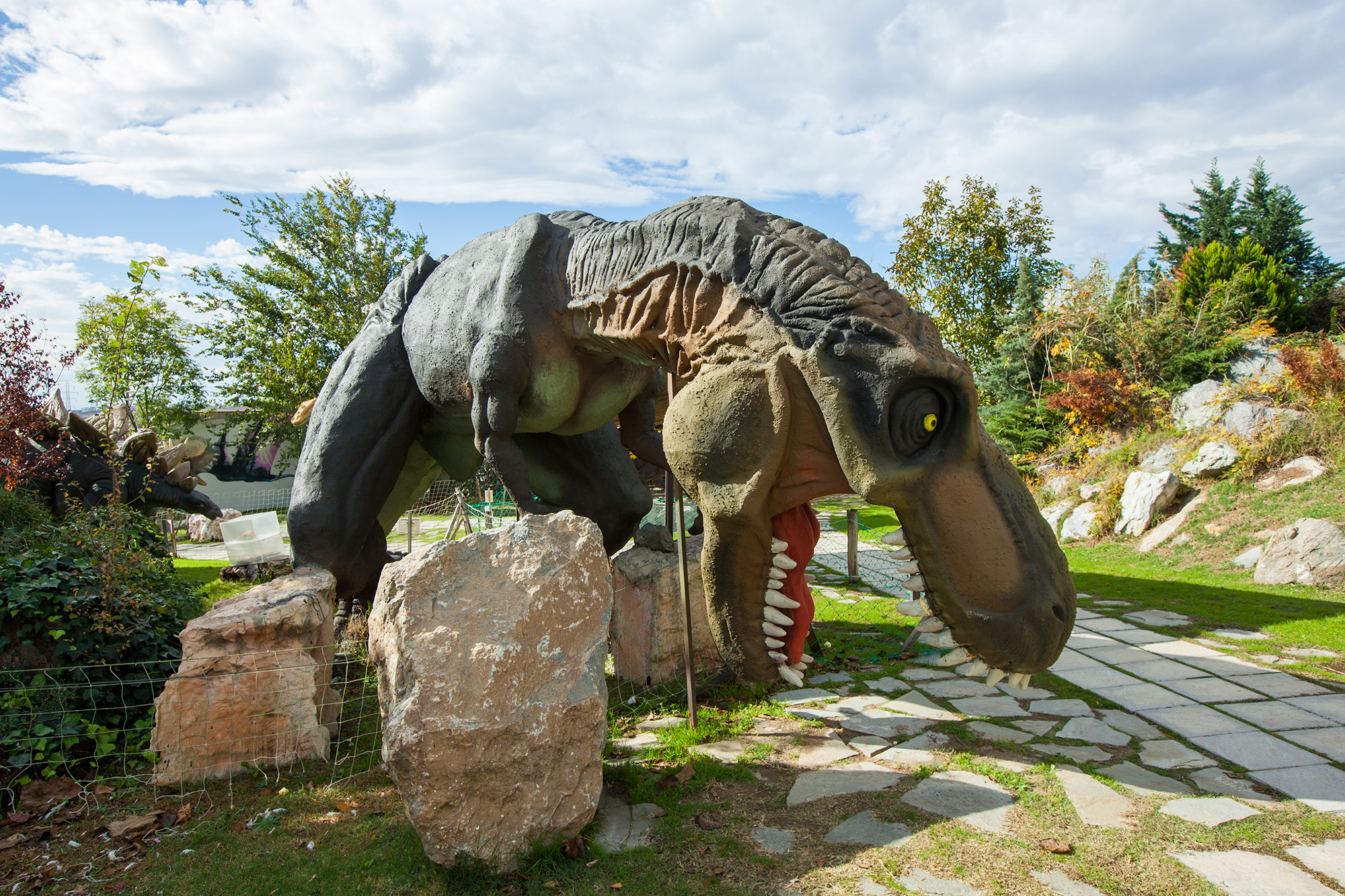 Dinosaur park photo