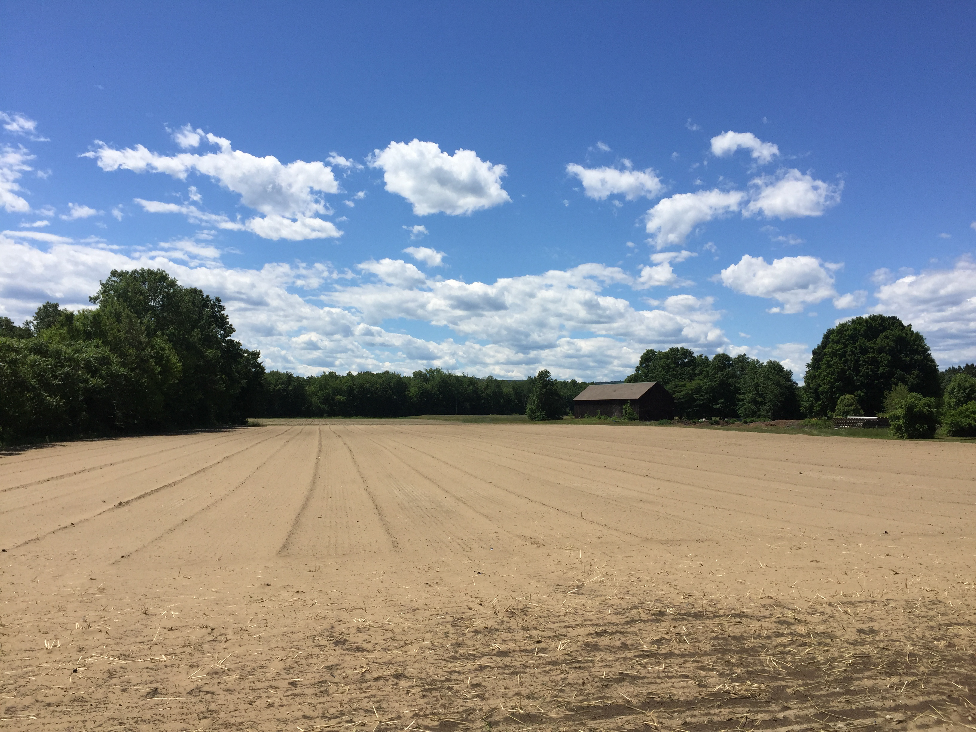 File:Dirt Field on Farm.jpg - Wikimedia Commons