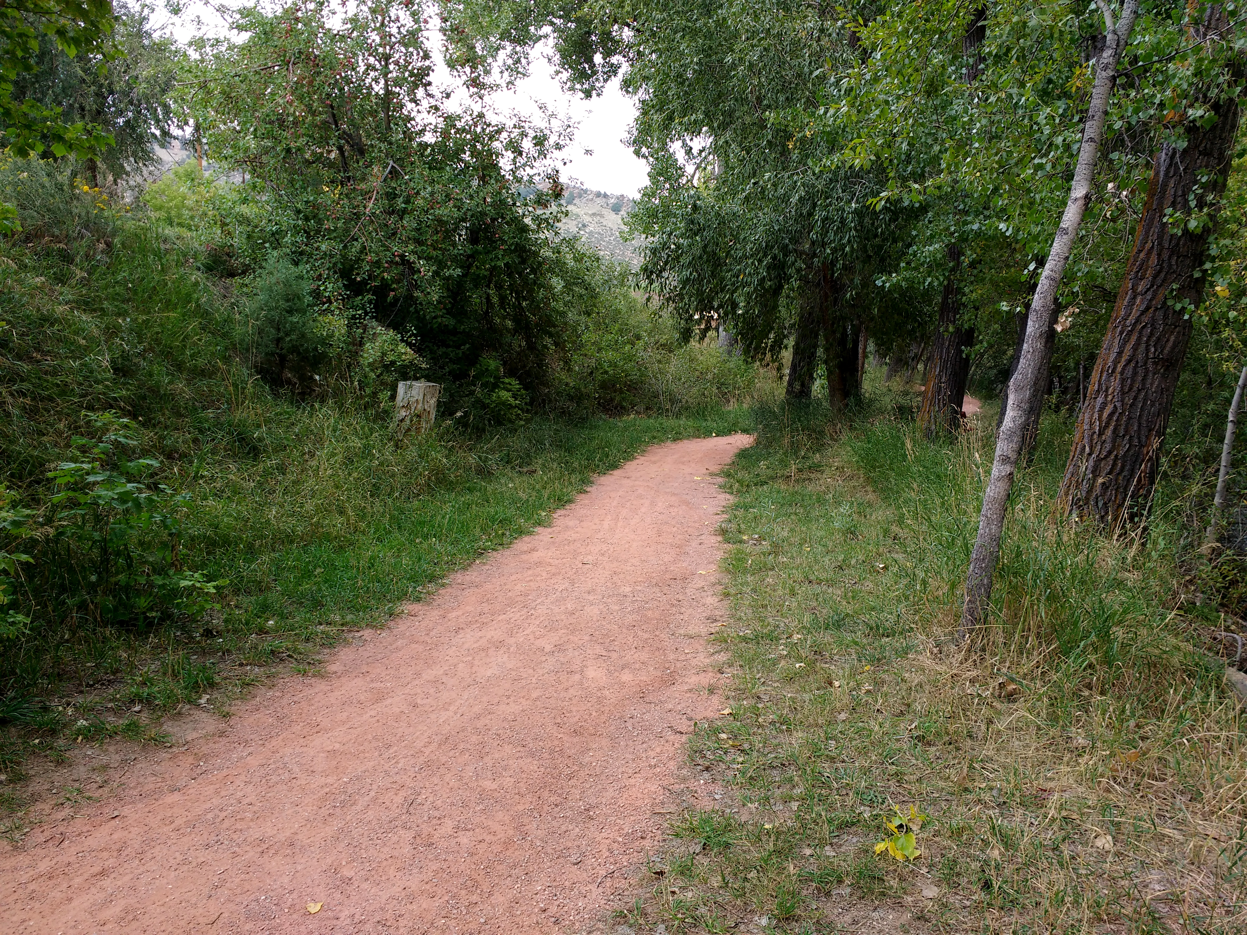 Dirt Path through Wooded Area Picture | Free Photograph | Photos ...