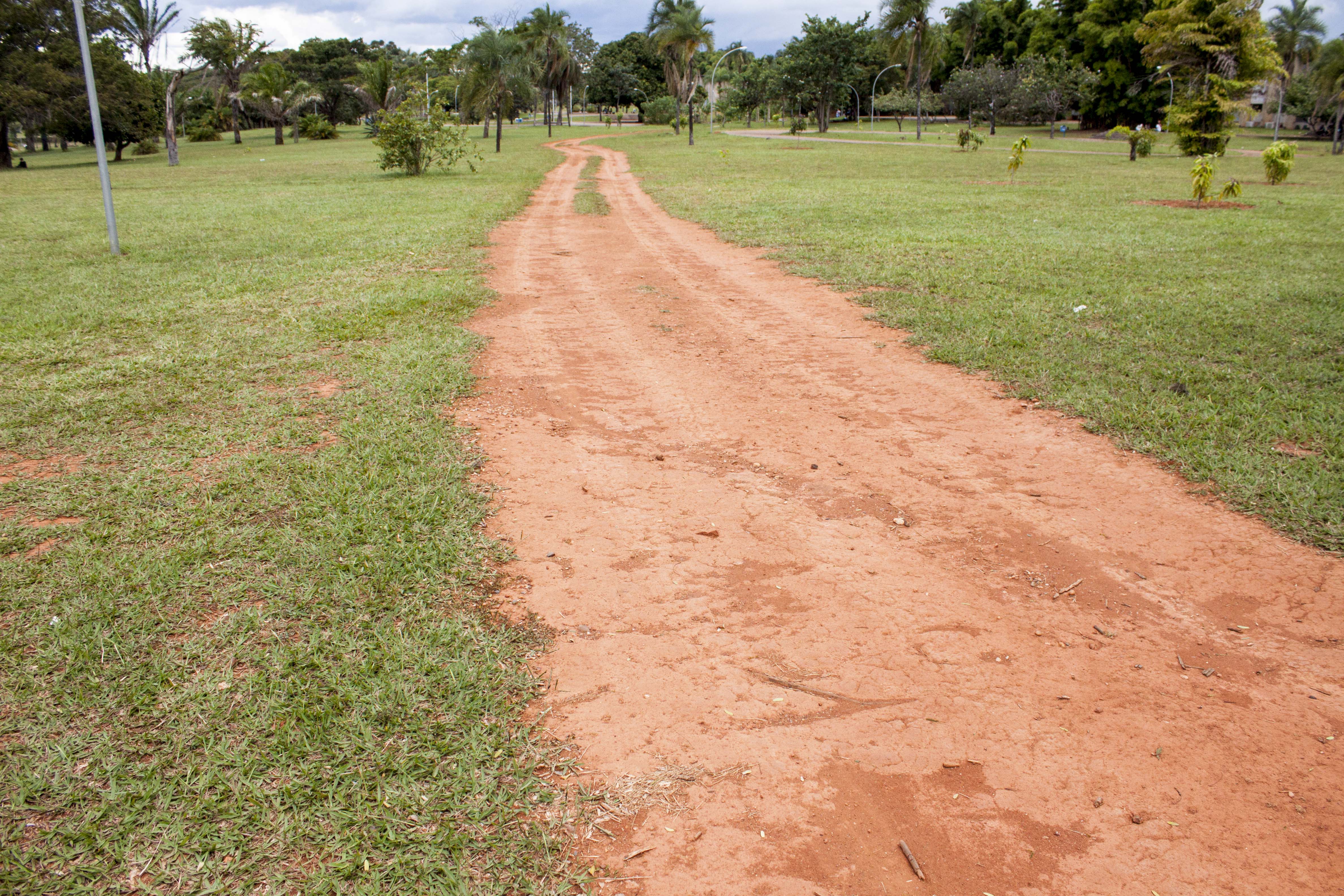 free-photo-dirt-path-blue-park-tree-free-download-jooinn