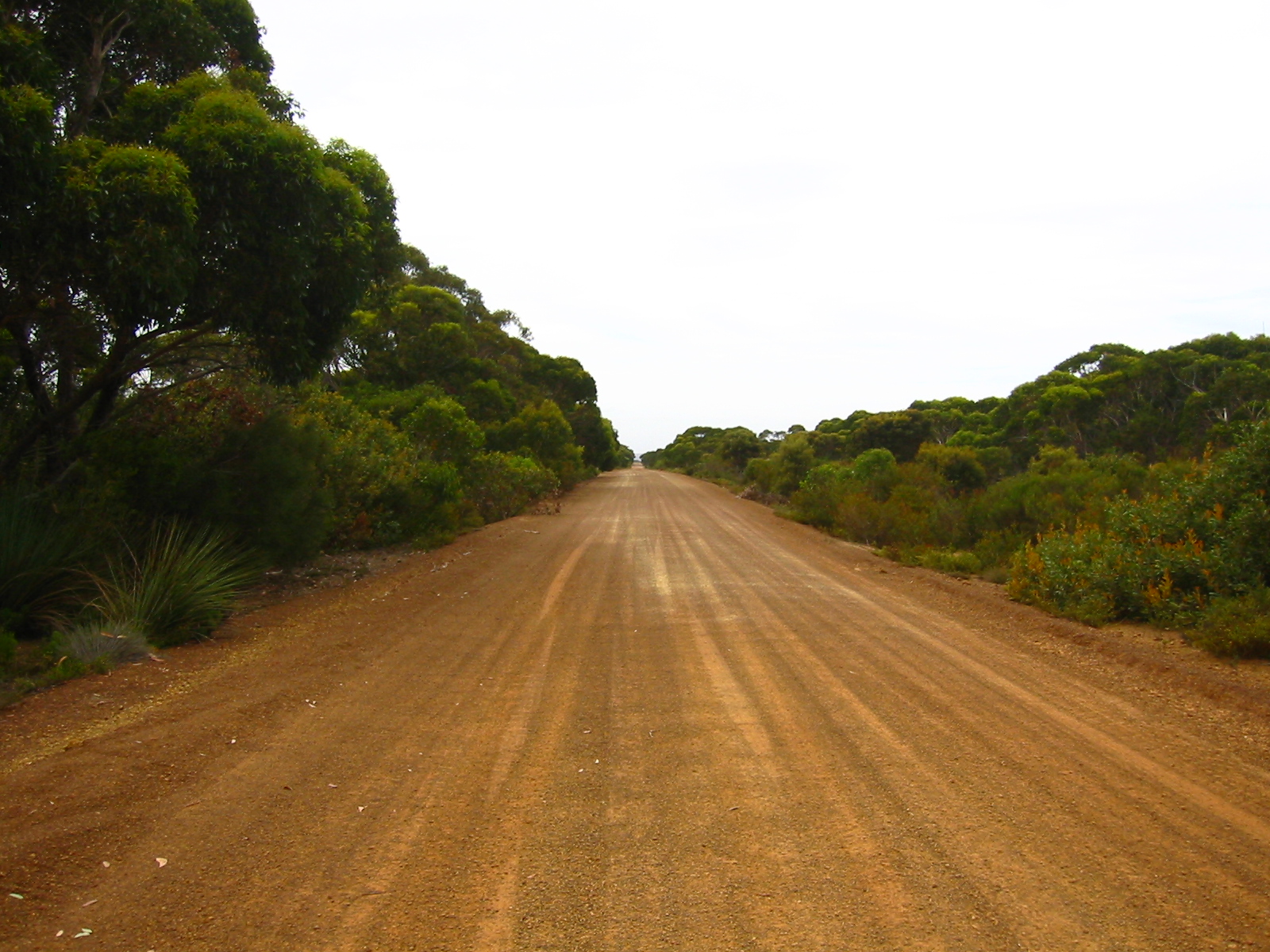 Free Photo Dirt Road Dirt Gravel Nature Free Download Jooinn